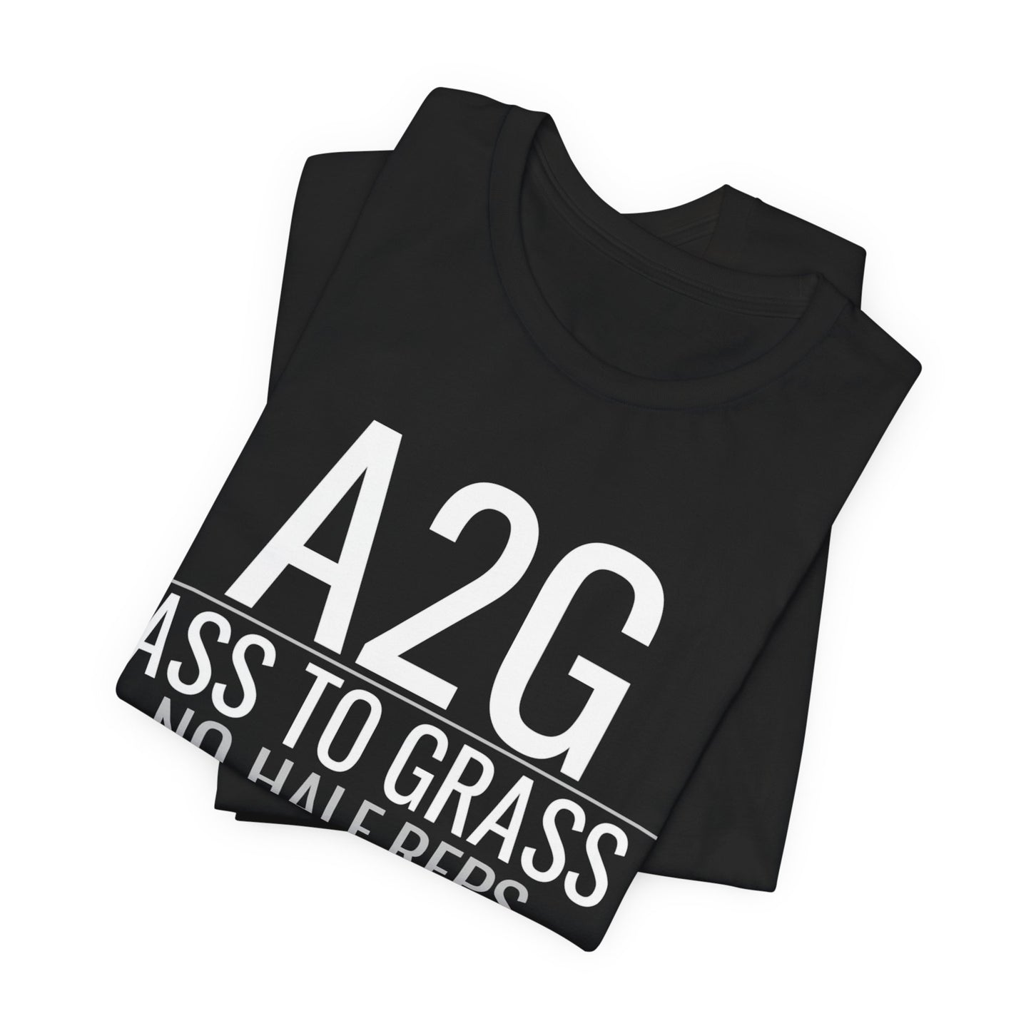 DoD Fitness - A2G - No Half Reps Men's Tee