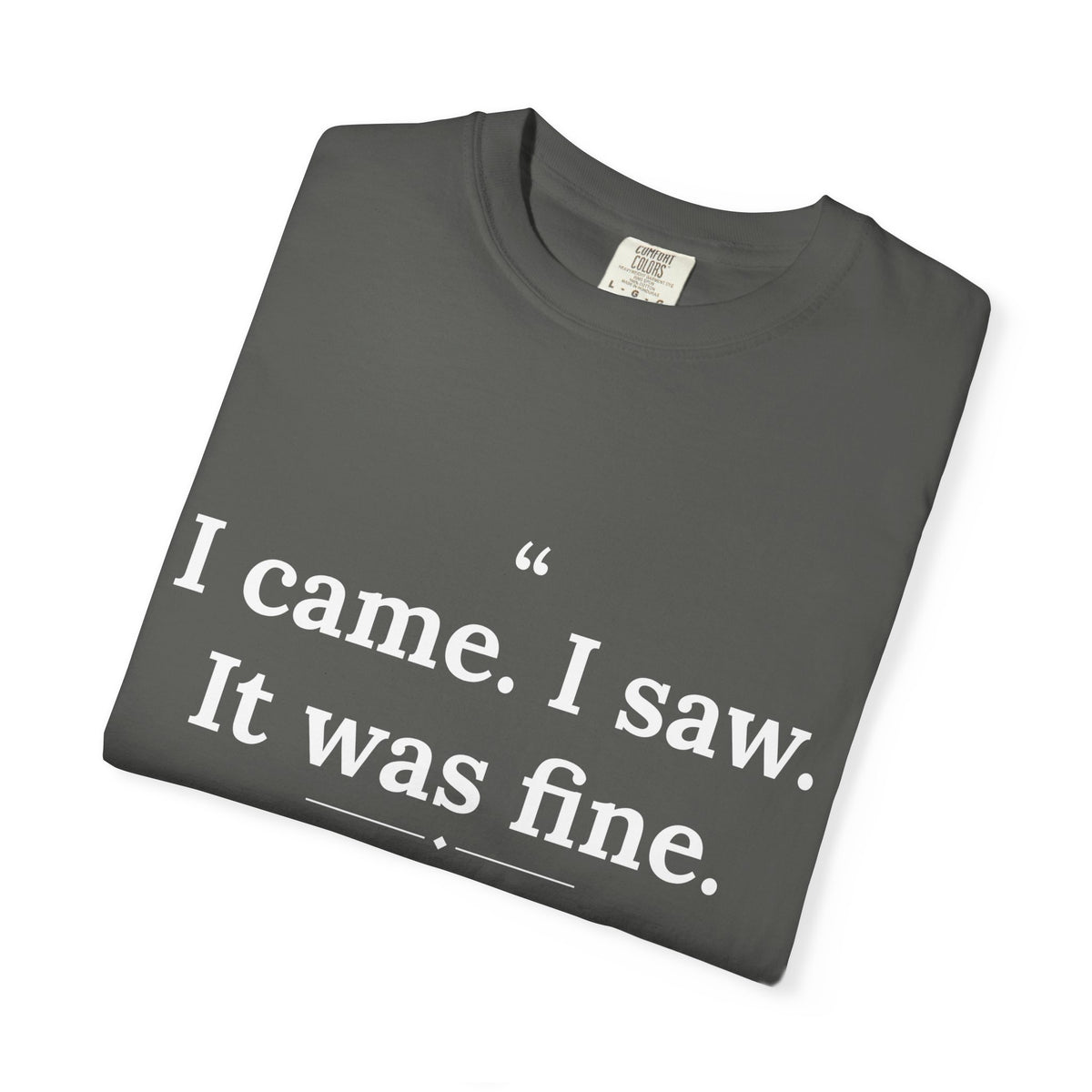 Mediocrates - I Came I Saw It Was Fine men's tee - funny gym shirt by DoD Fitness