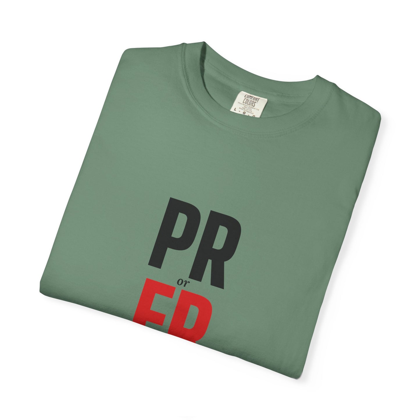 DoD Fitness - PR or ER Men's Tee
