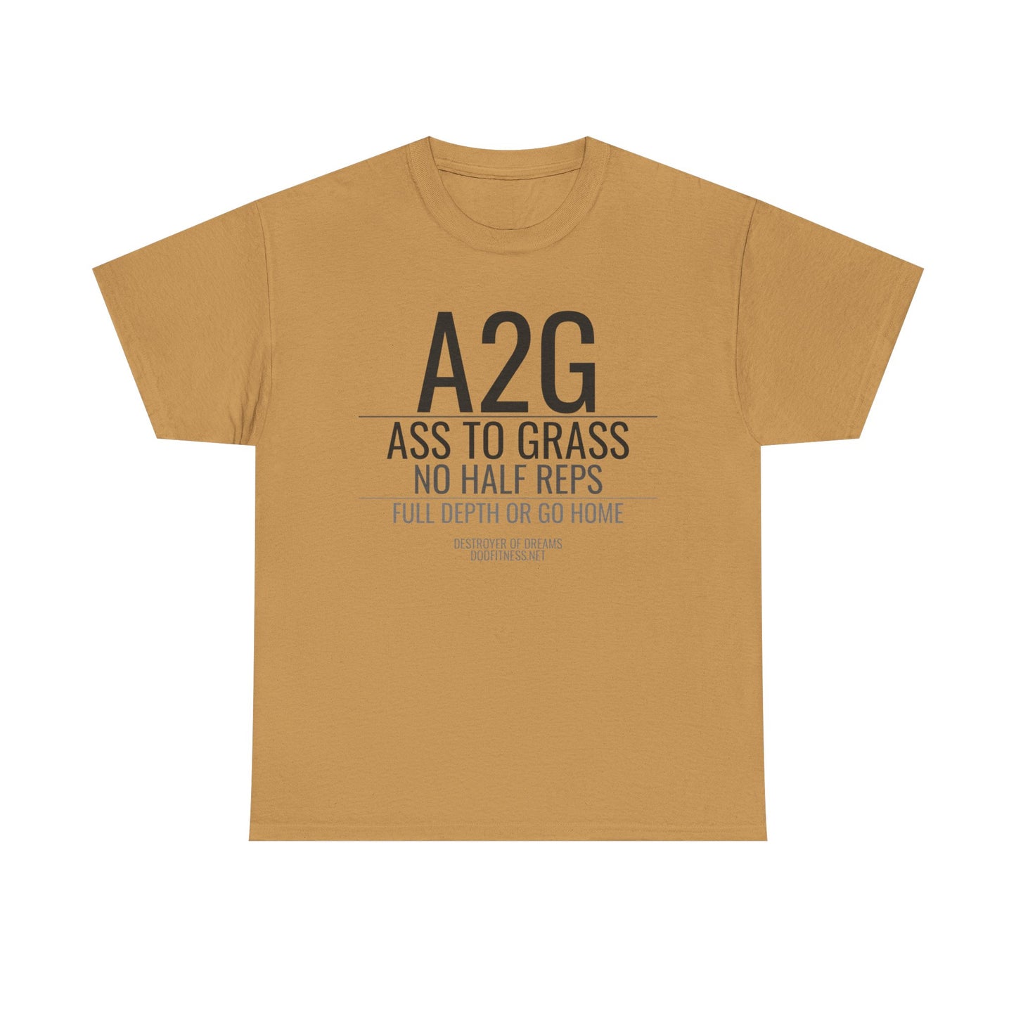 DoD Fitness - A2G - No Half Reps Women's Tee