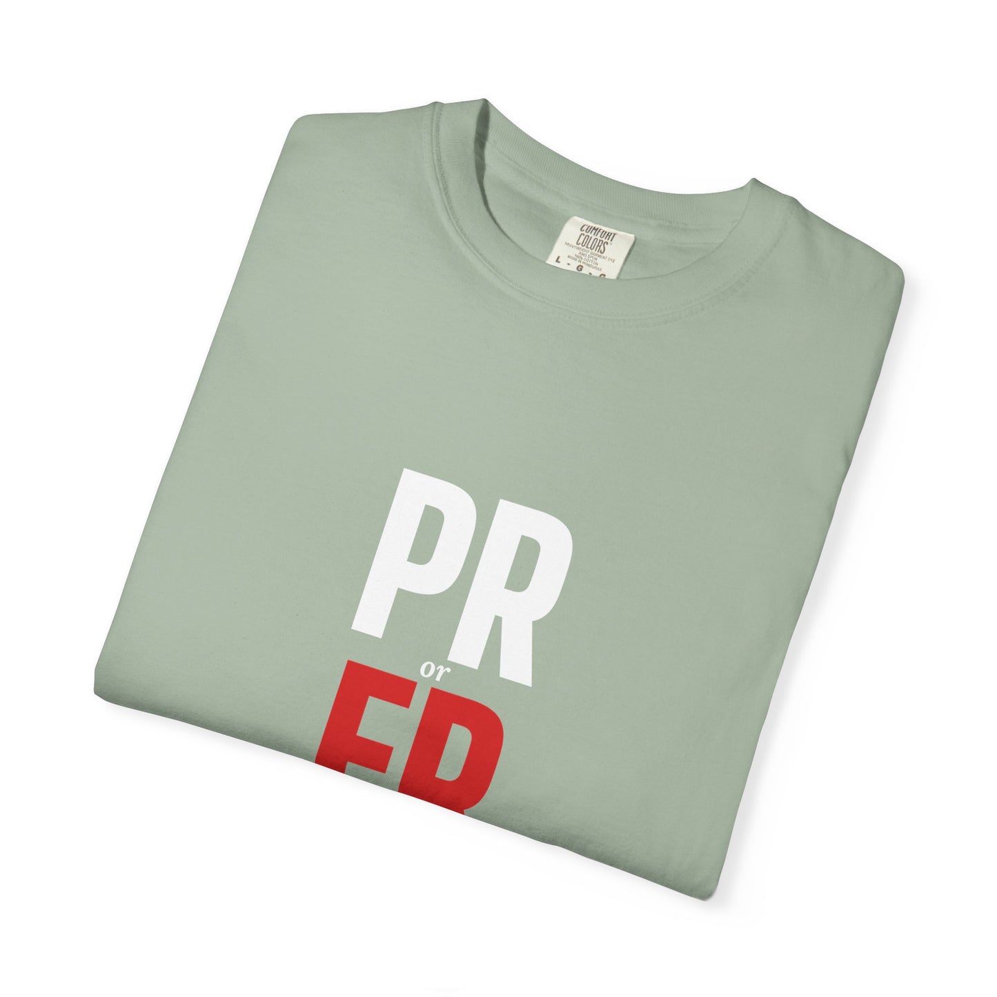 DoD Fitness - PR or ER Men's Tee