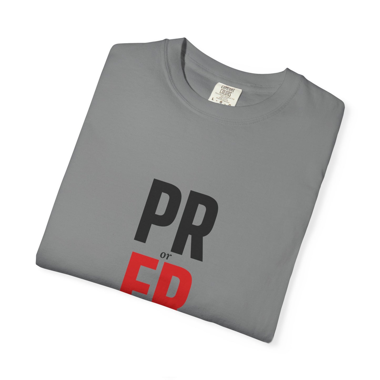DoD Fitness - PR or ER Men's Tee
