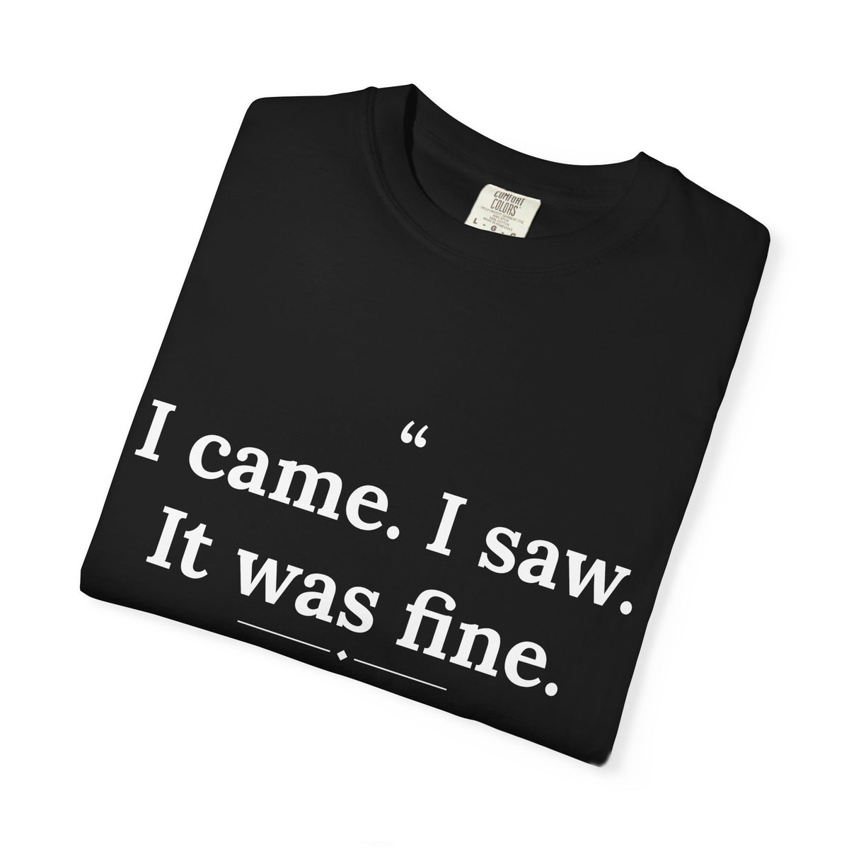 Mediocrates - I Came I Saw It Was Fine men's tee - funny gym shirt by DoD Fitness