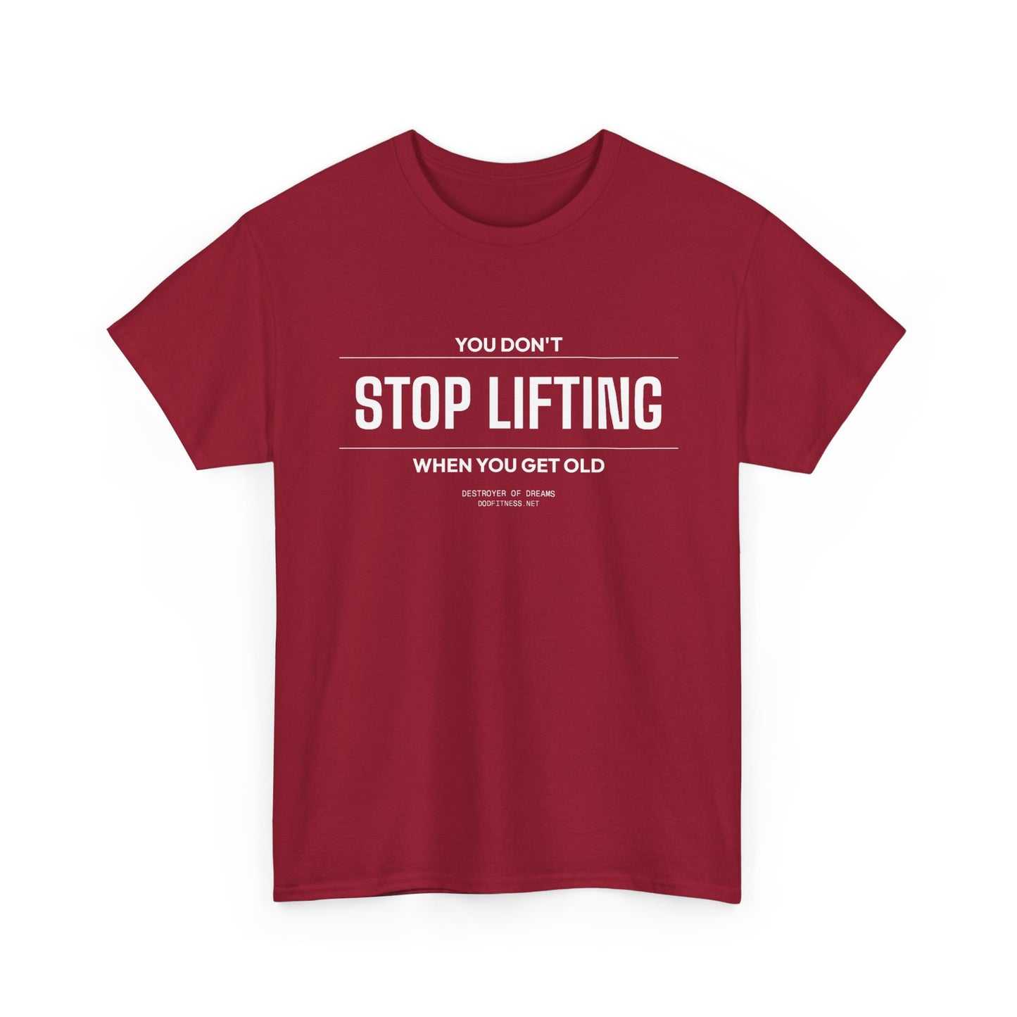 DoD Fitness - Stop Lifting B Women's Tee
