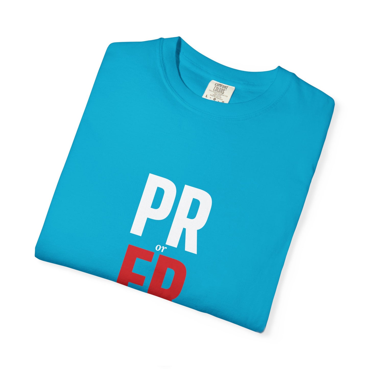 DoD Fitness - PR or ER Men's Tee