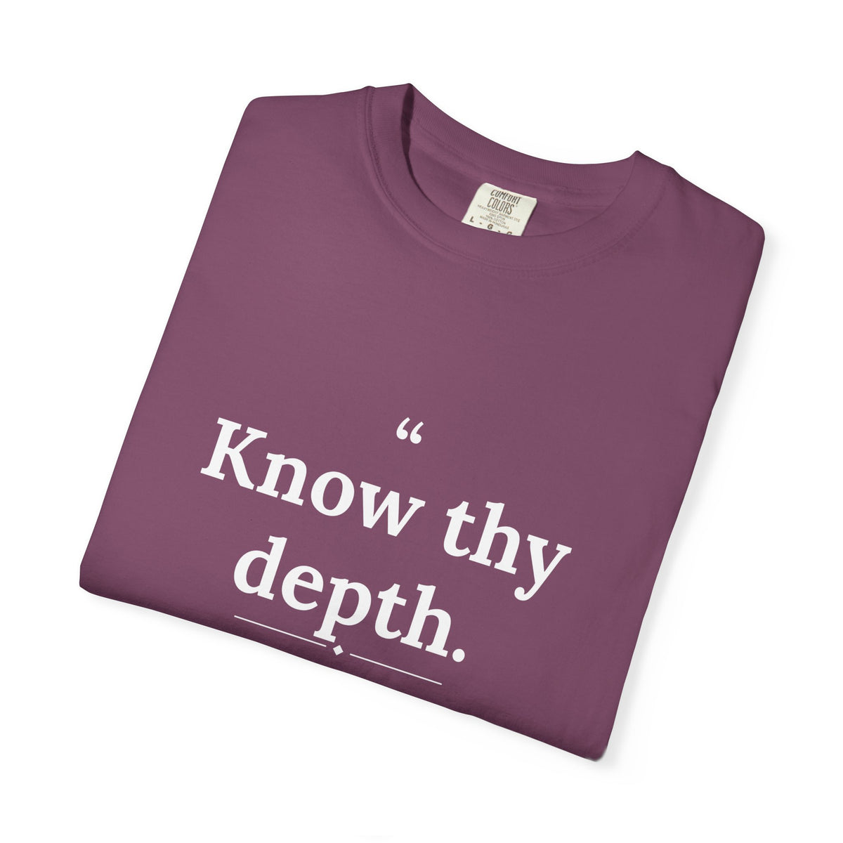 Assticles - Know Thy Depth men's tee - funny gym shirt by DoD Fitness