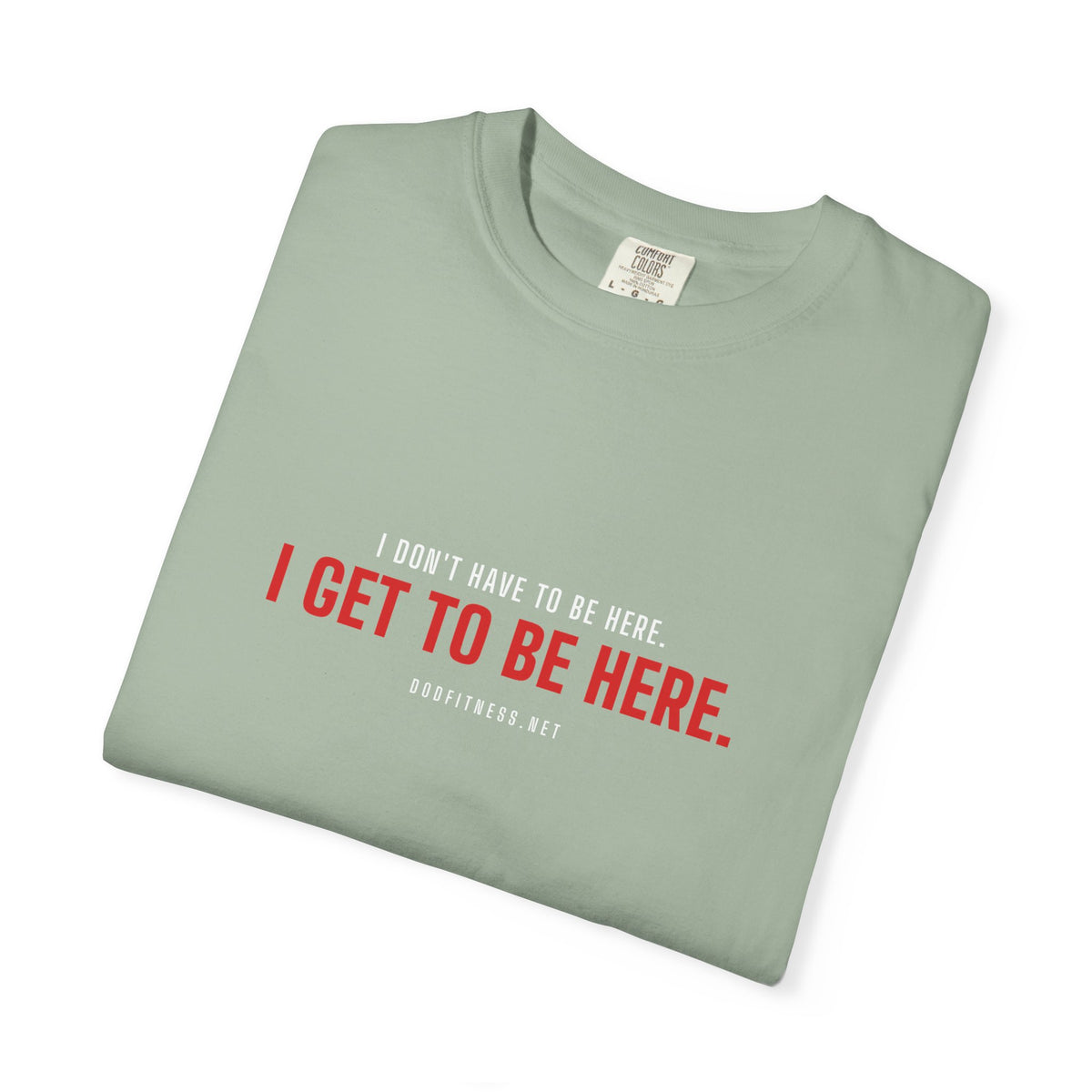 Have Get men's tee - funny gym shirt by DoD Fitness
