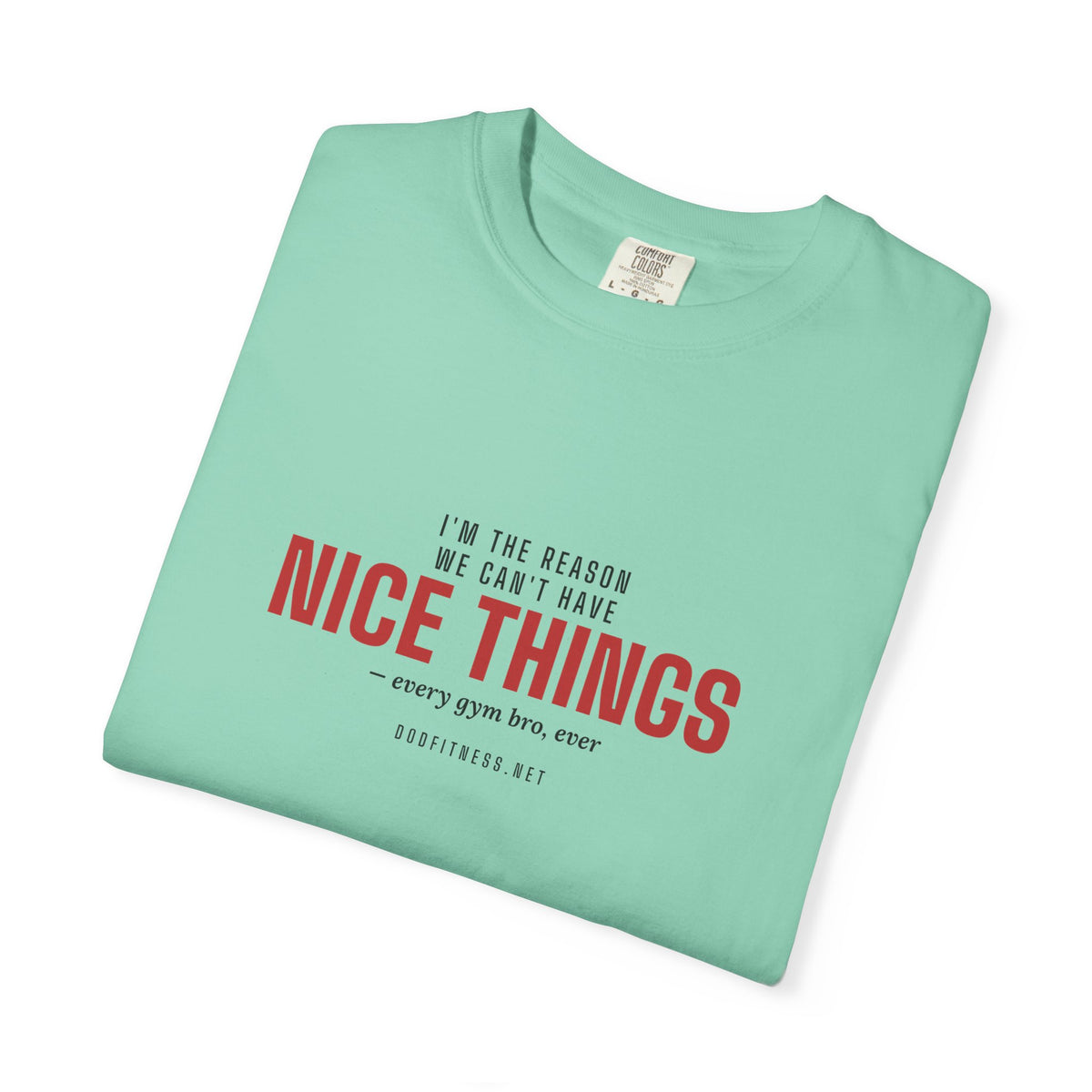 DoD Fitness - Nice Things Men's Tee