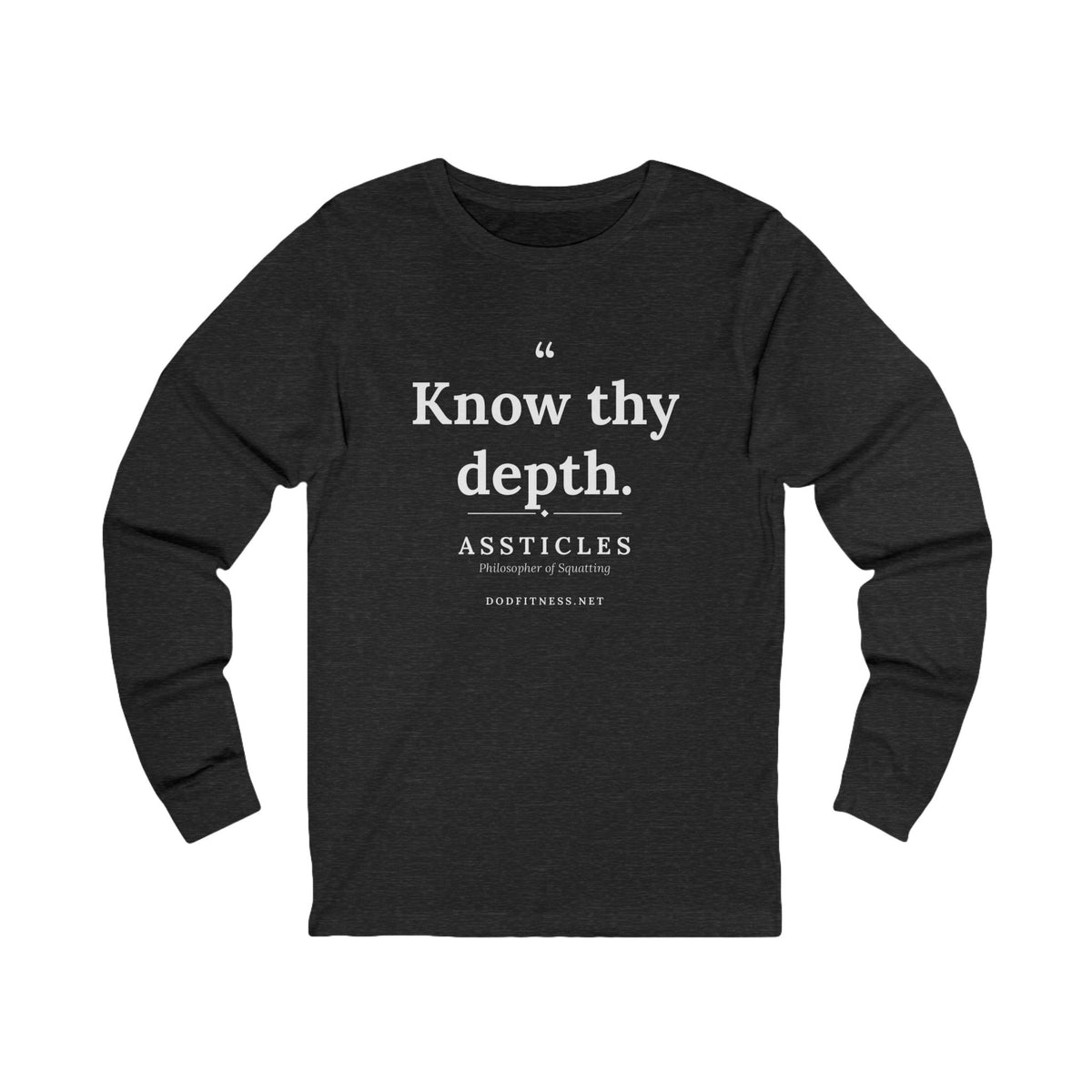 Assticles - Know Thy Depth long sleeve tee in Dark Grey Heather - funny gym shirt by DoD Fitness