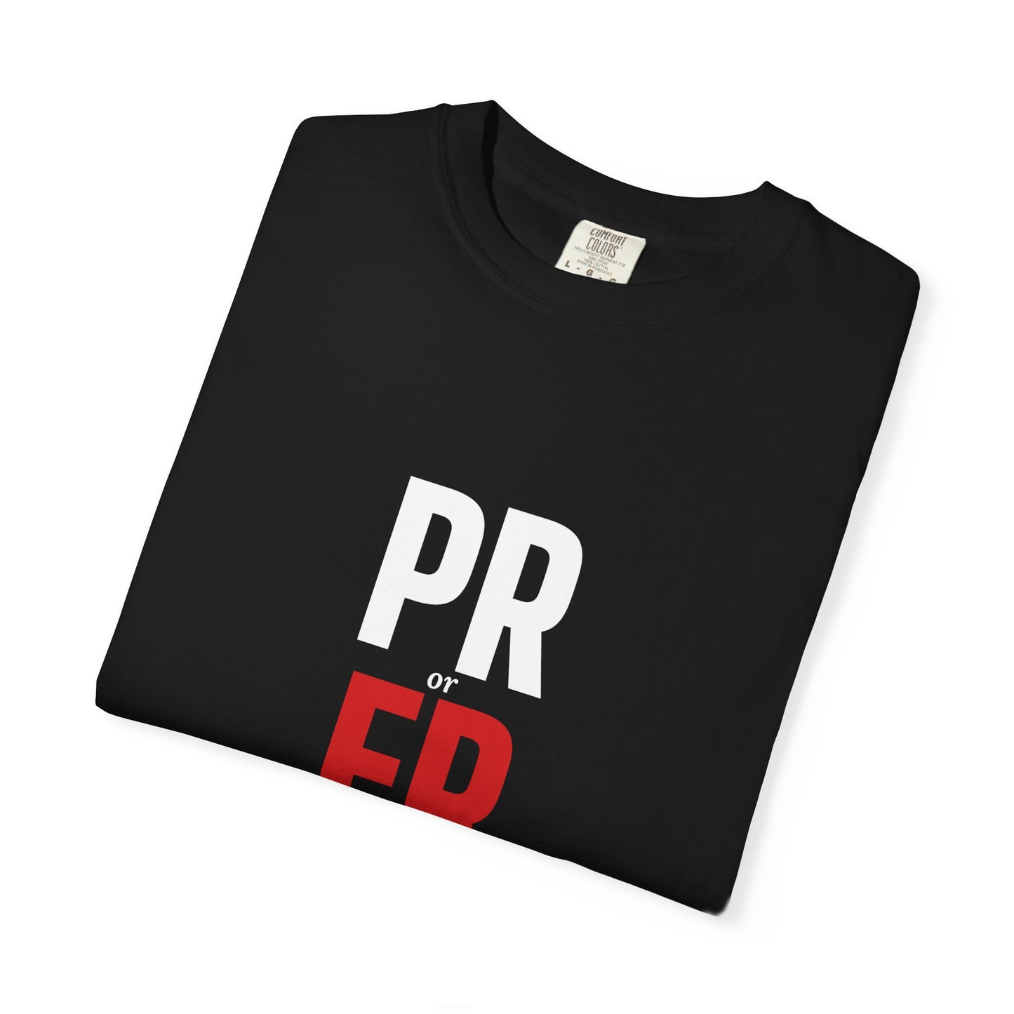 DoD Fitness - PR or ER Men's Tee