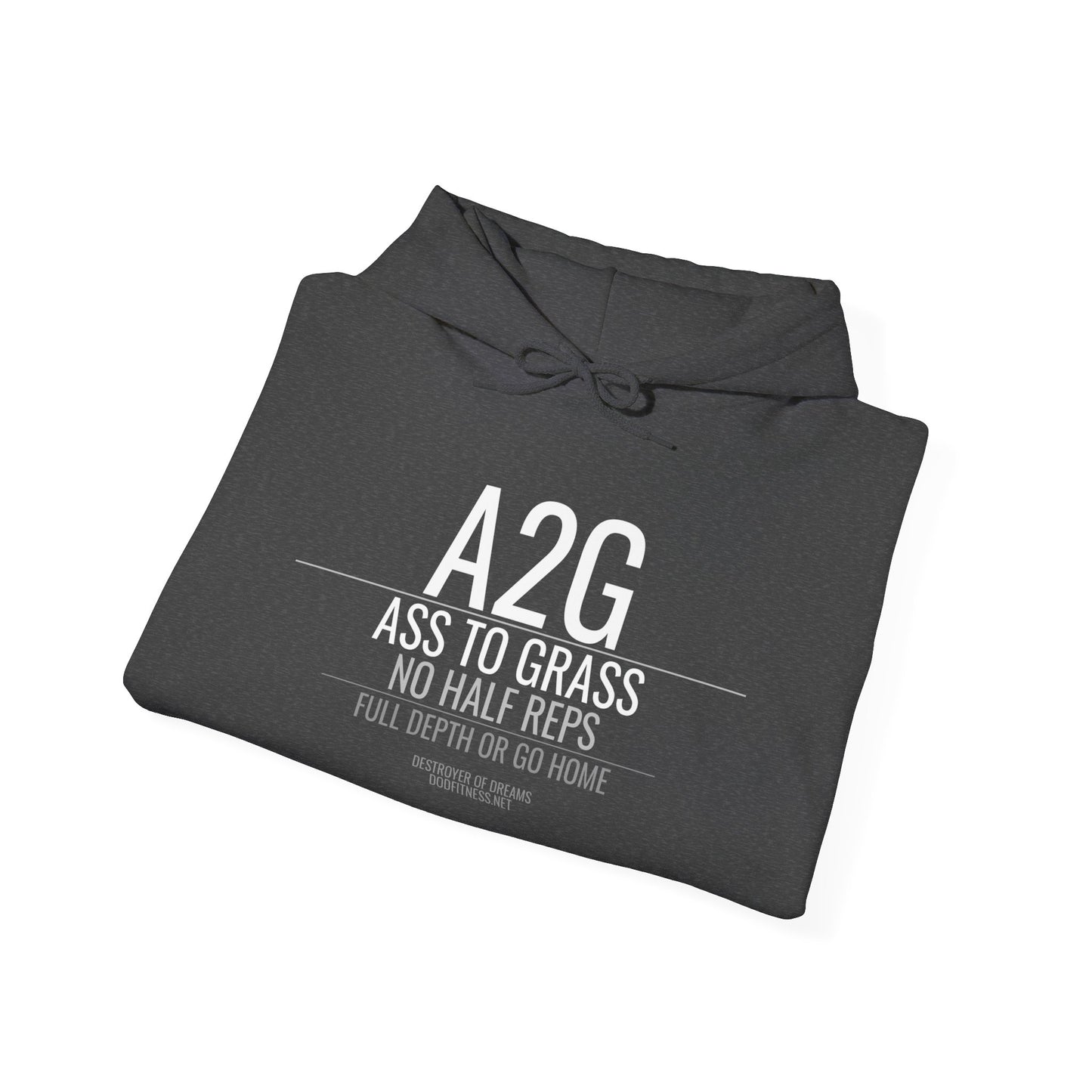 DoD Fitness - A2G - No Half Reps Hoodie