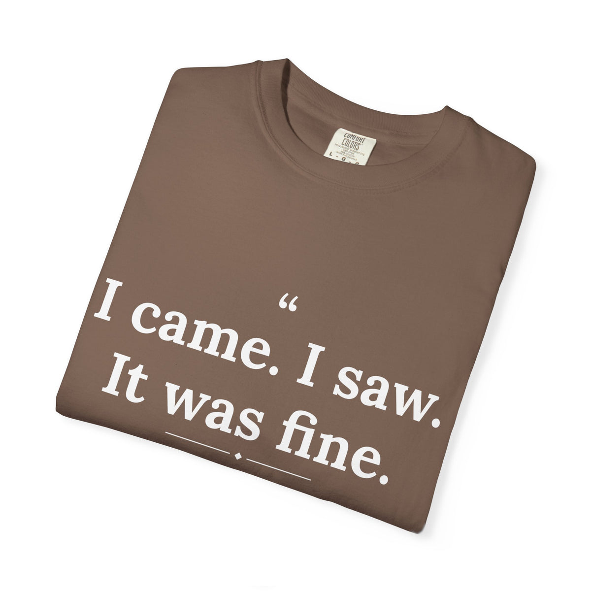 Mediocrates - I Came I Saw It Was Fine men's tee - funny gym shirt by DoD Fitness