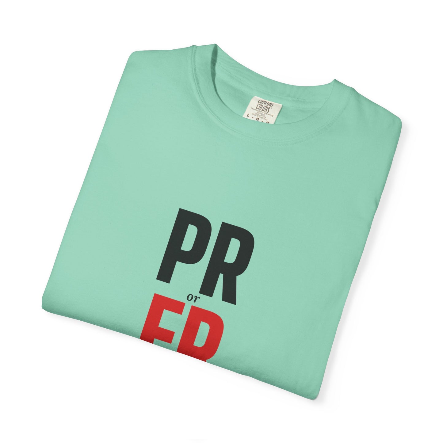 DoD Fitness - PR or ER Men's Tee