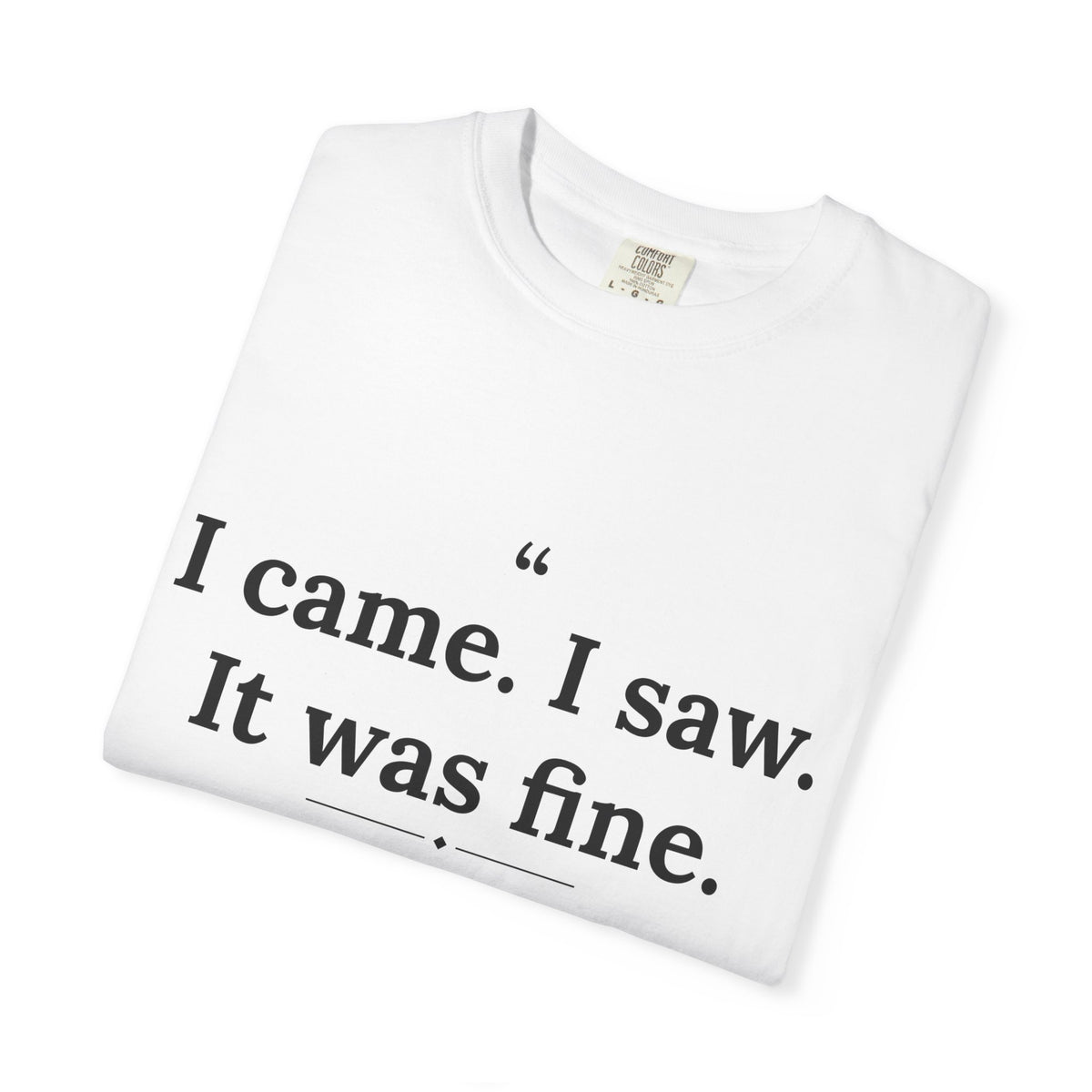 Mediocrates - I Came I Saw It Was Fine men's tee - funny gym shirt by DoD Fitness