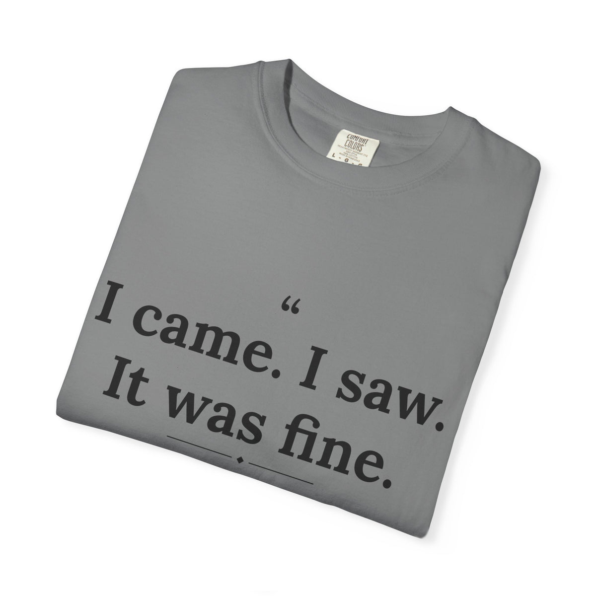 Mediocrates - I Came I Saw It Was Fine men's tee - funny gym shirt by DoD Fitness