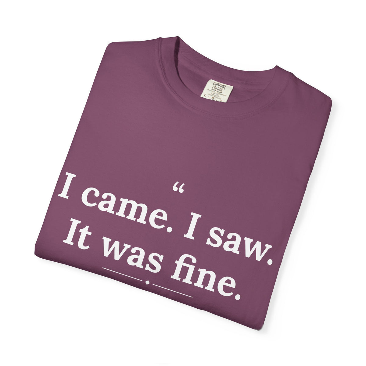 Mediocrates - I Came I Saw It Was Fine men's tee - funny gym shirt by DoD Fitness