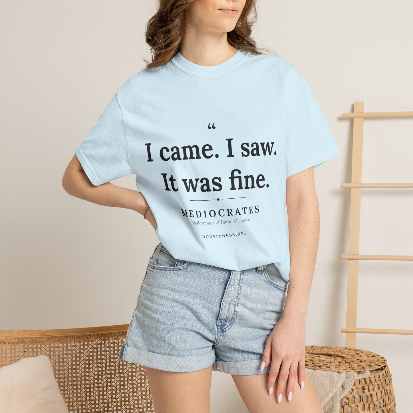 Mediocrates - I Came I Saw It Was Fine men's tee in Chambray - funny gym shirt by DoD Fitness