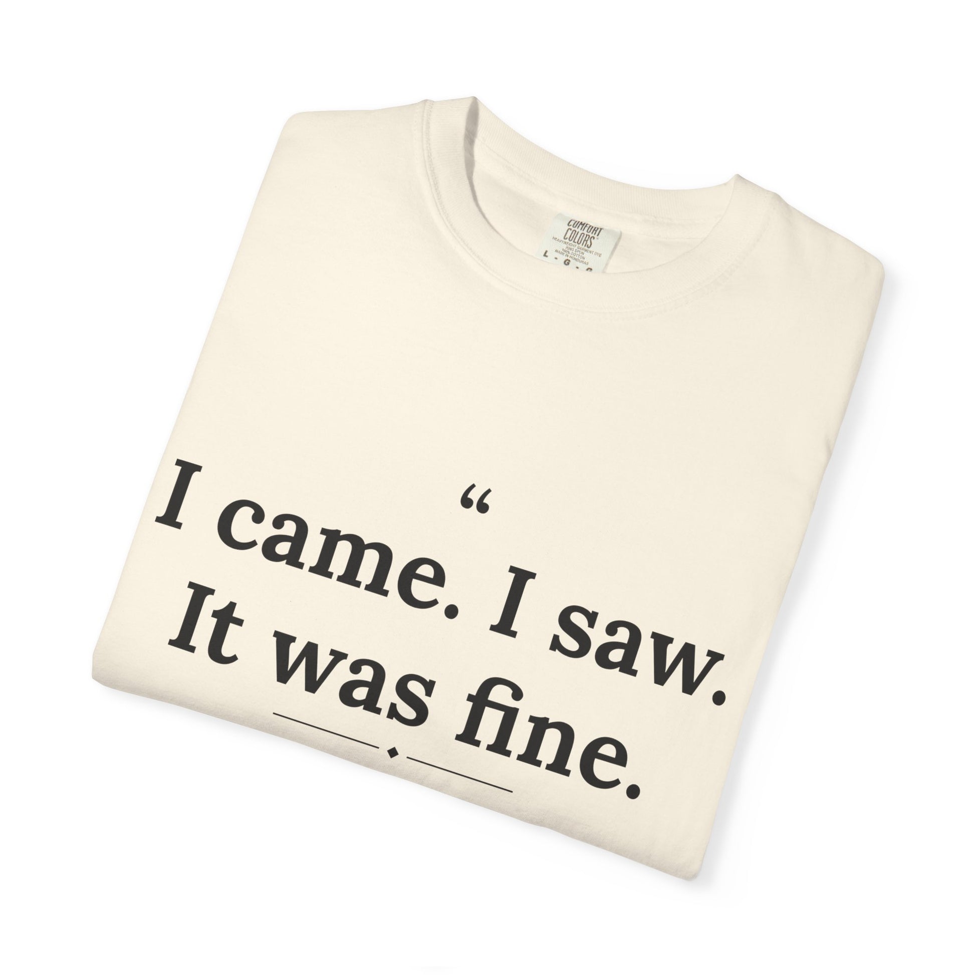 Mediocrates - I Came I Saw It Was Fine men's tee - funny gym shirt by DoD Fitness