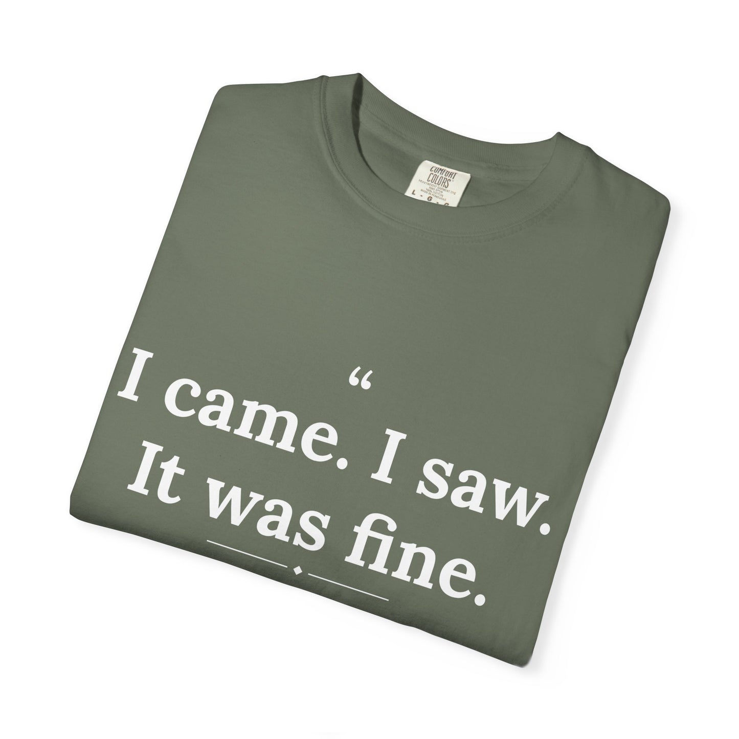 Mediocrates - I Came I Saw It Was Fine men's tee - funny gym shirt by DoD Fitness