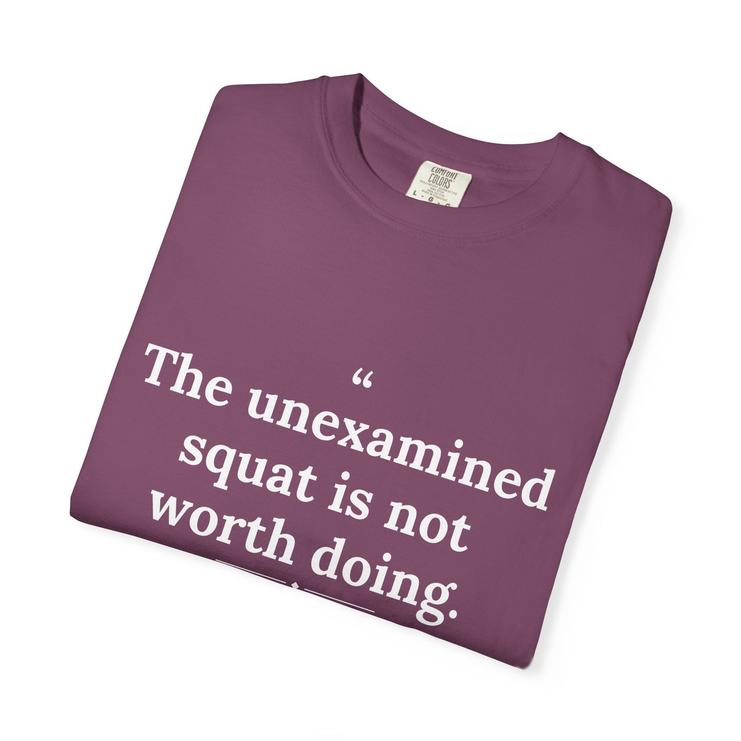 Assticles - The Unexamined Squat men's tee - funny gym shirt by DoD Fitness