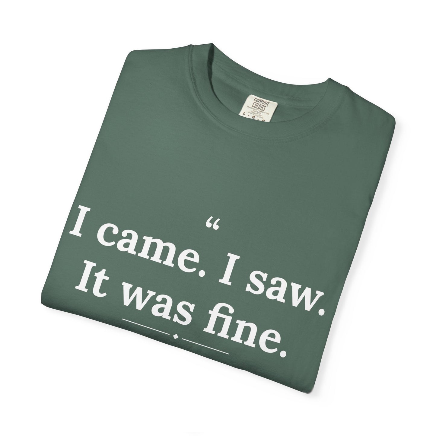 Mediocrates - I Came I Saw It Was Fine men's tee - funny gym shirt by DoD Fitness
