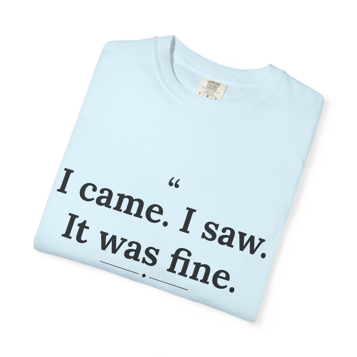 Mediocrates - I Came I Saw It Was Fine men's tee - funny gym shirt by DoD Fitness
