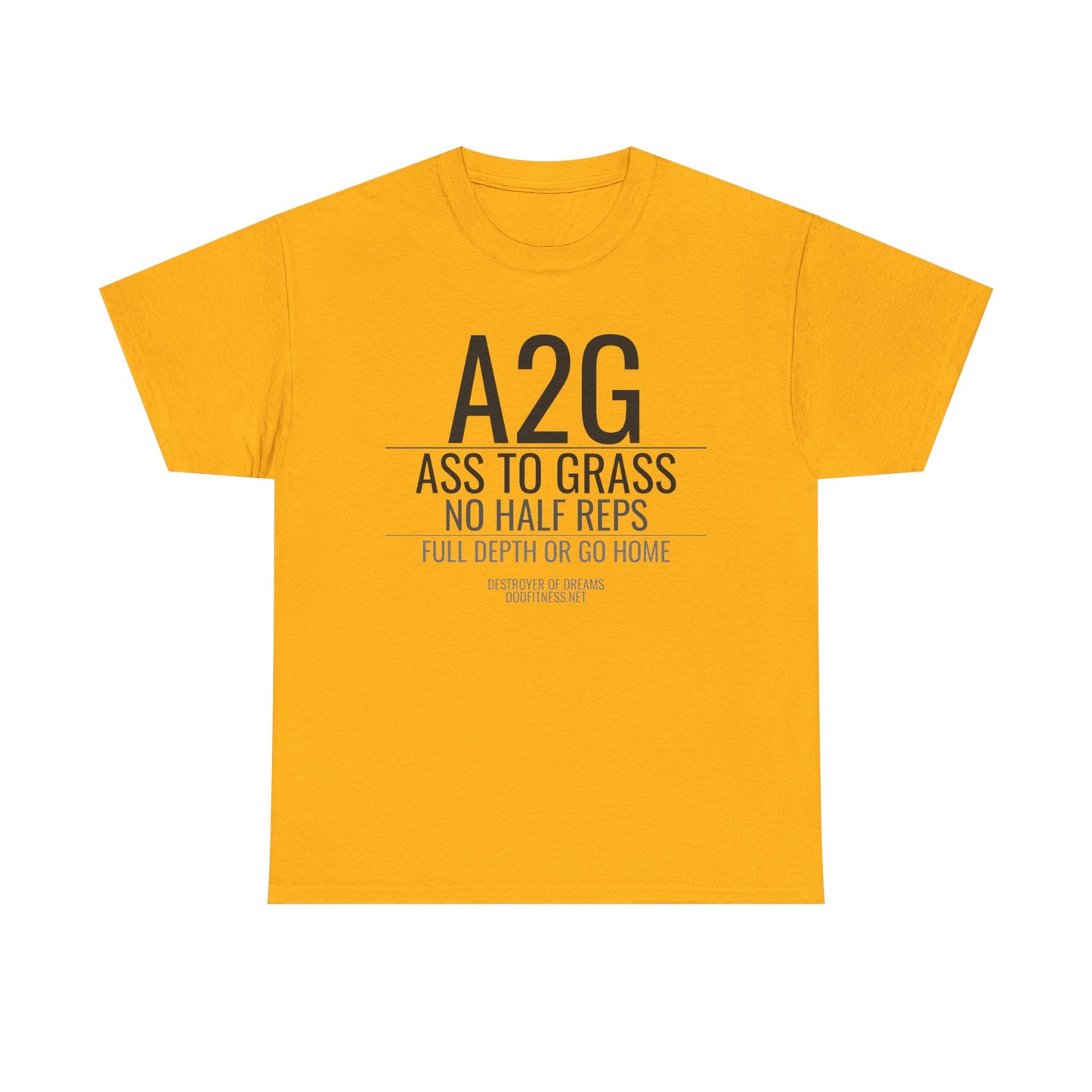 DoD Fitness - A2G - No Half Reps Women's Tee