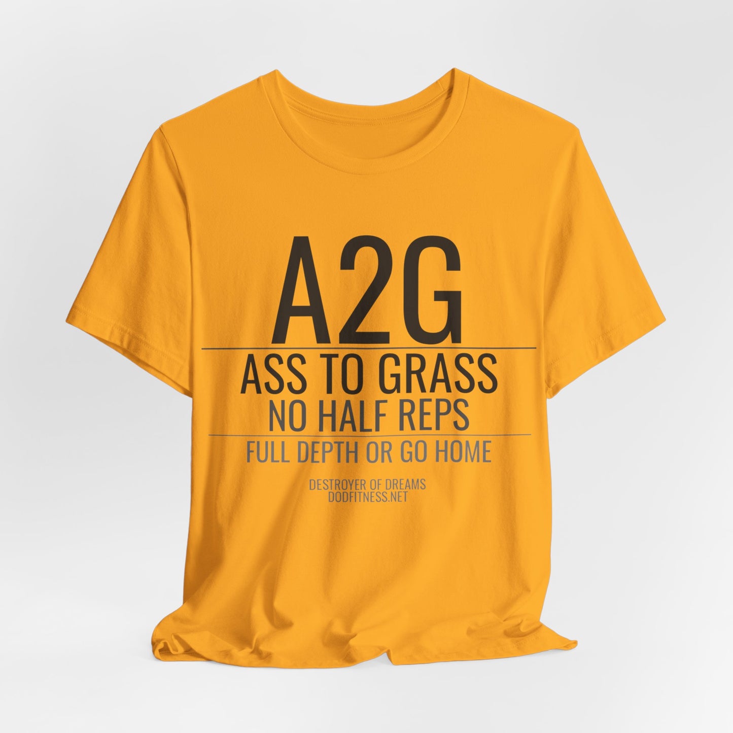 DoD Fitness - A2G - No Half Reps Men's Tee