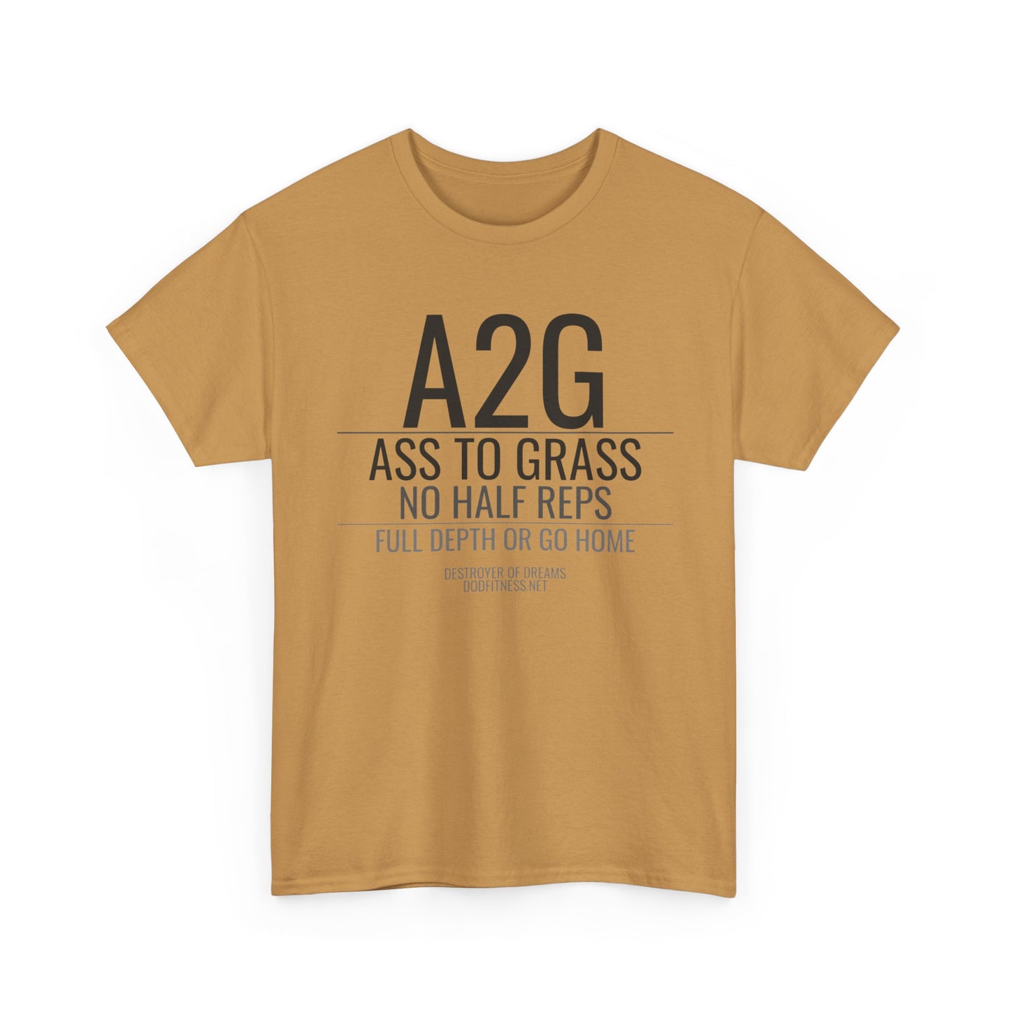 DoD Fitness - A2G - No Half Reps Women's Tee