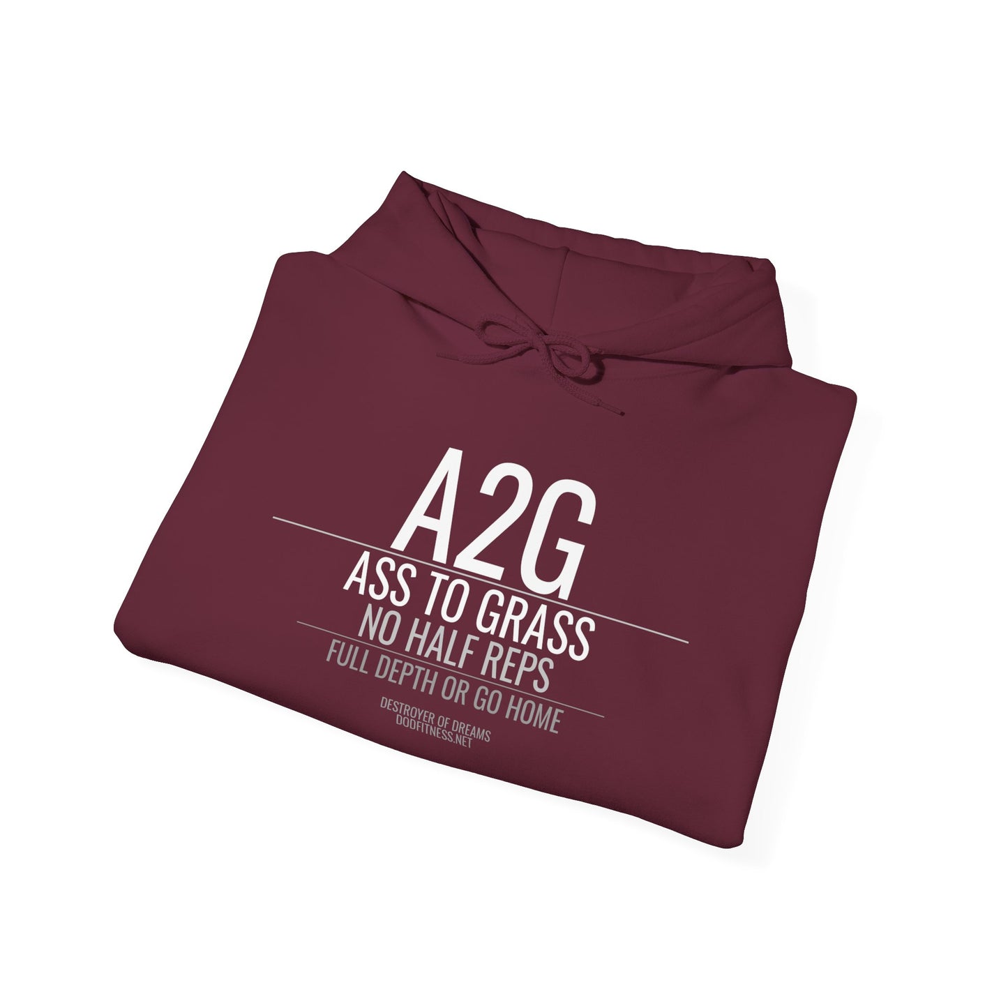 DoD Fitness - A2G - No Half Reps Hoodie