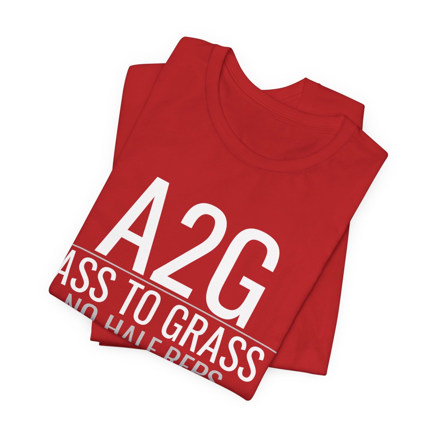 DoD Fitness - A2G - No Half Reps Men's Tee