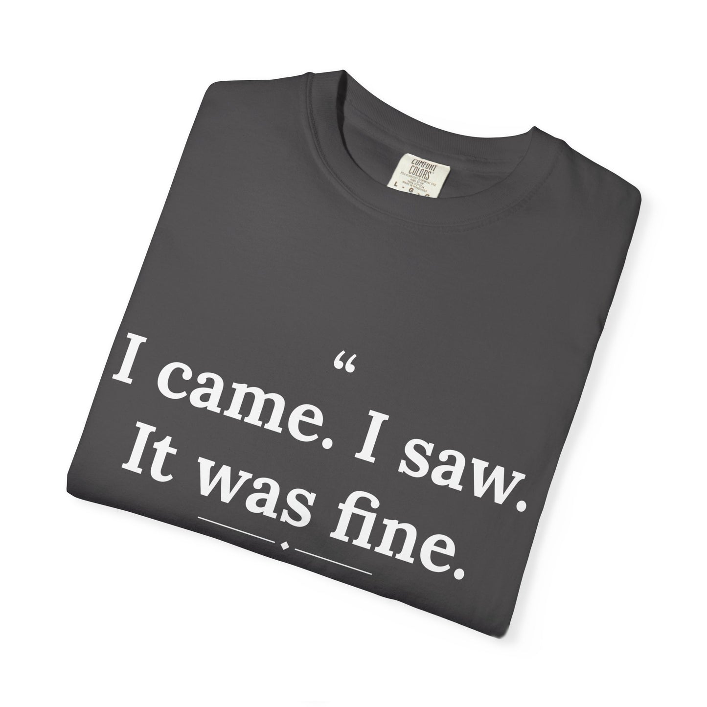 Mediocrates - I Came I Saw It Was Fine men's tee - funny gym shirt by DoD Fitness