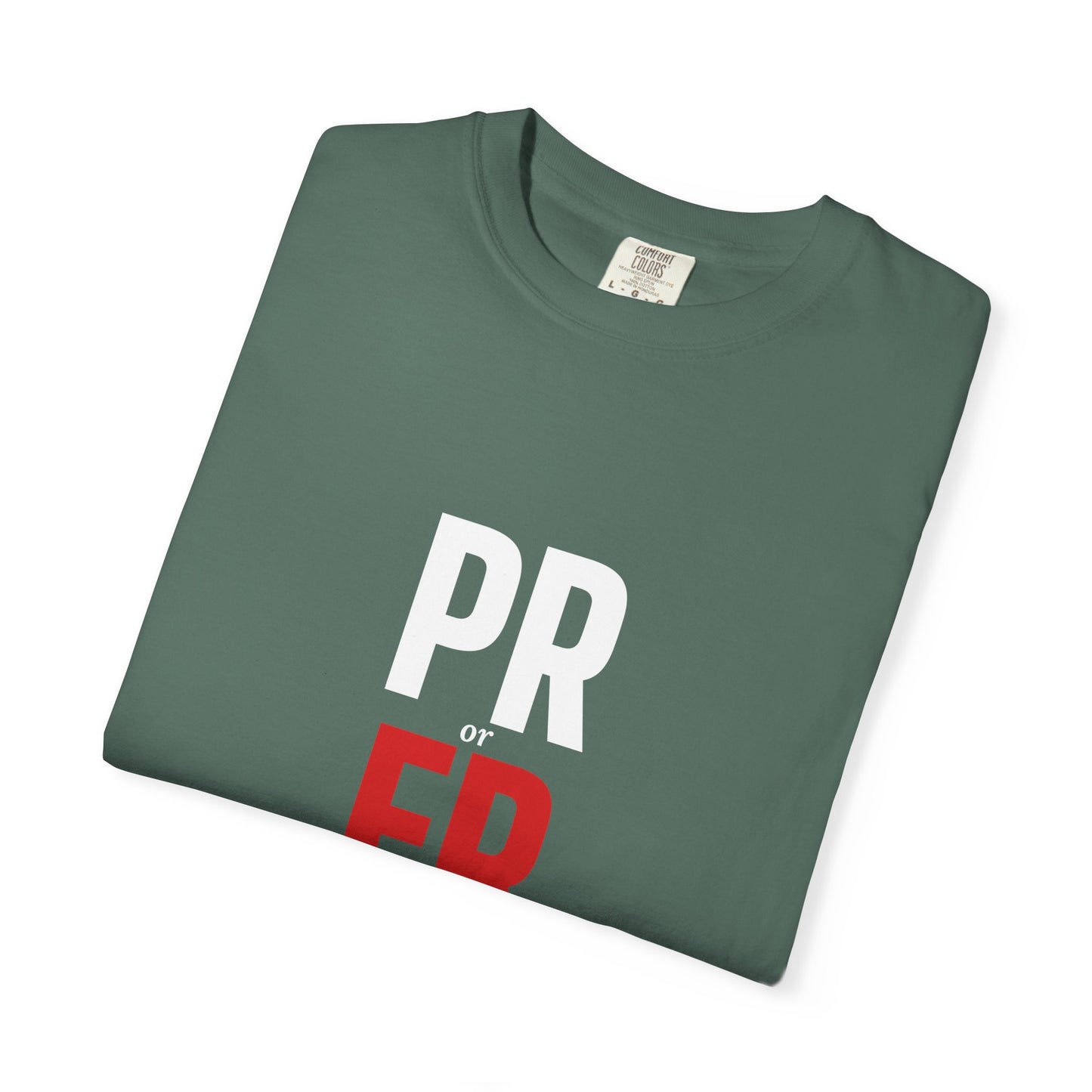 DoD Fitness - PR or ER Men's Tee