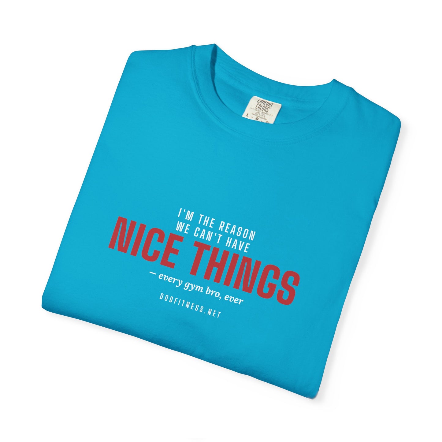 DoD Fitness - Nice Things Men's Tee