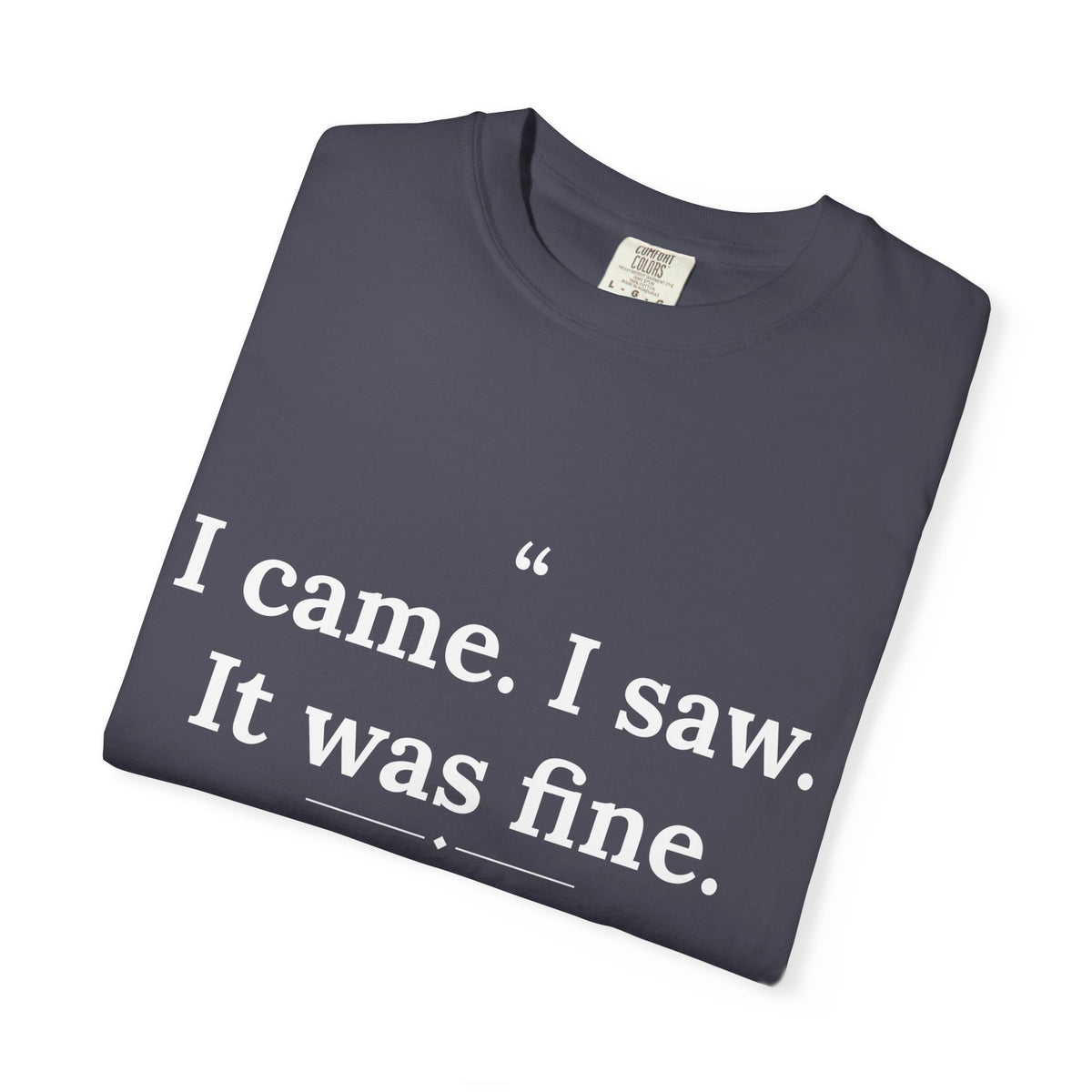 Mediocrates - I Came I Saw It Was Fine men's tee - funny gym shirt by DoD Fitness