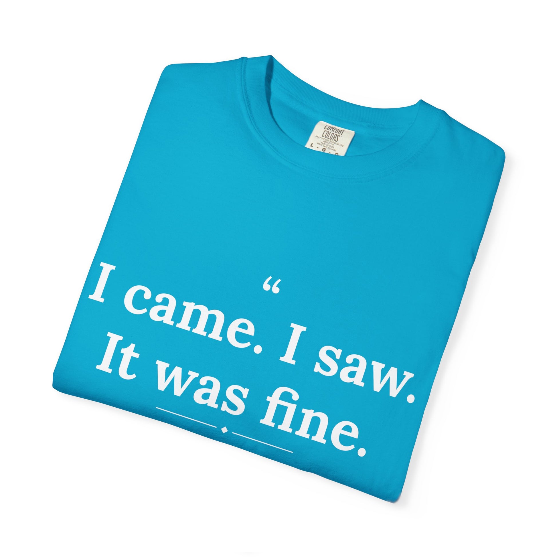 Mediocrates - I Came I Saw It Was Fine men's tee - funny gym shirt by DoD Fitness