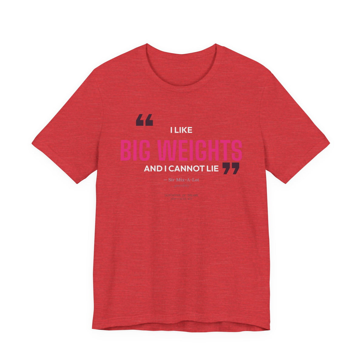 Big Weights men's tee - funny gym shirt by DoD Fitness
