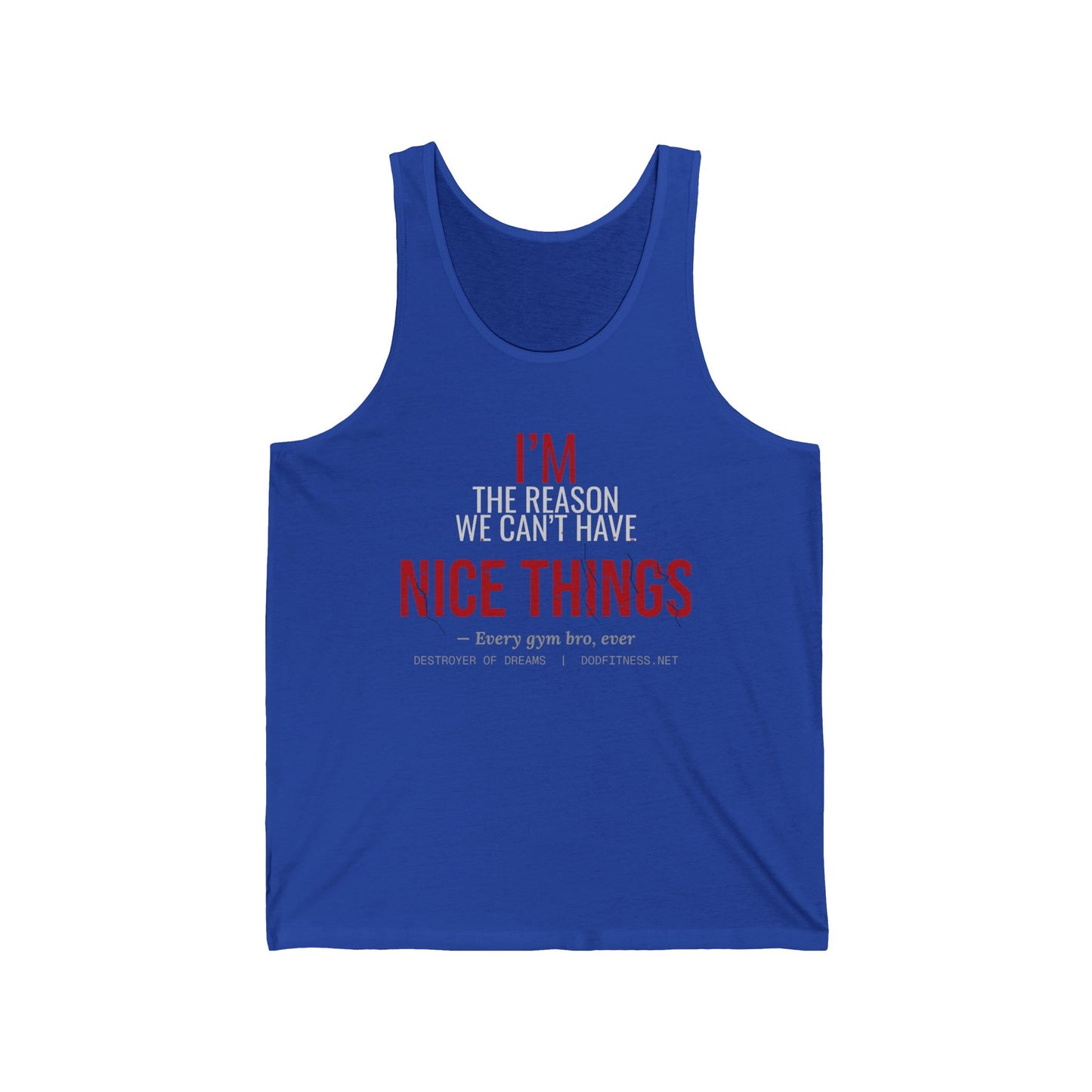 DoD Fitness - Nice Things Tank