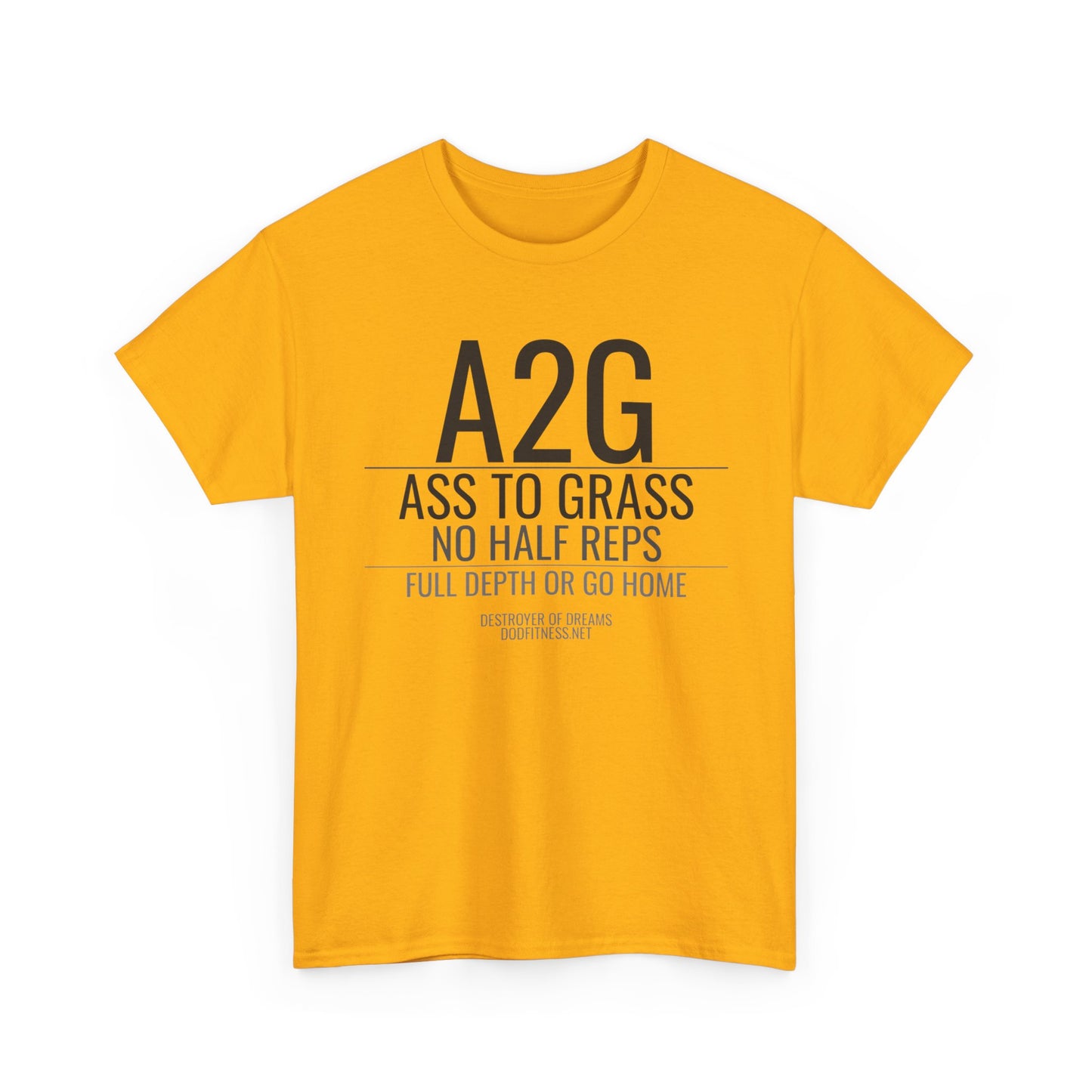 DoD Fitness - A2G - No Half Reps Women's Tee