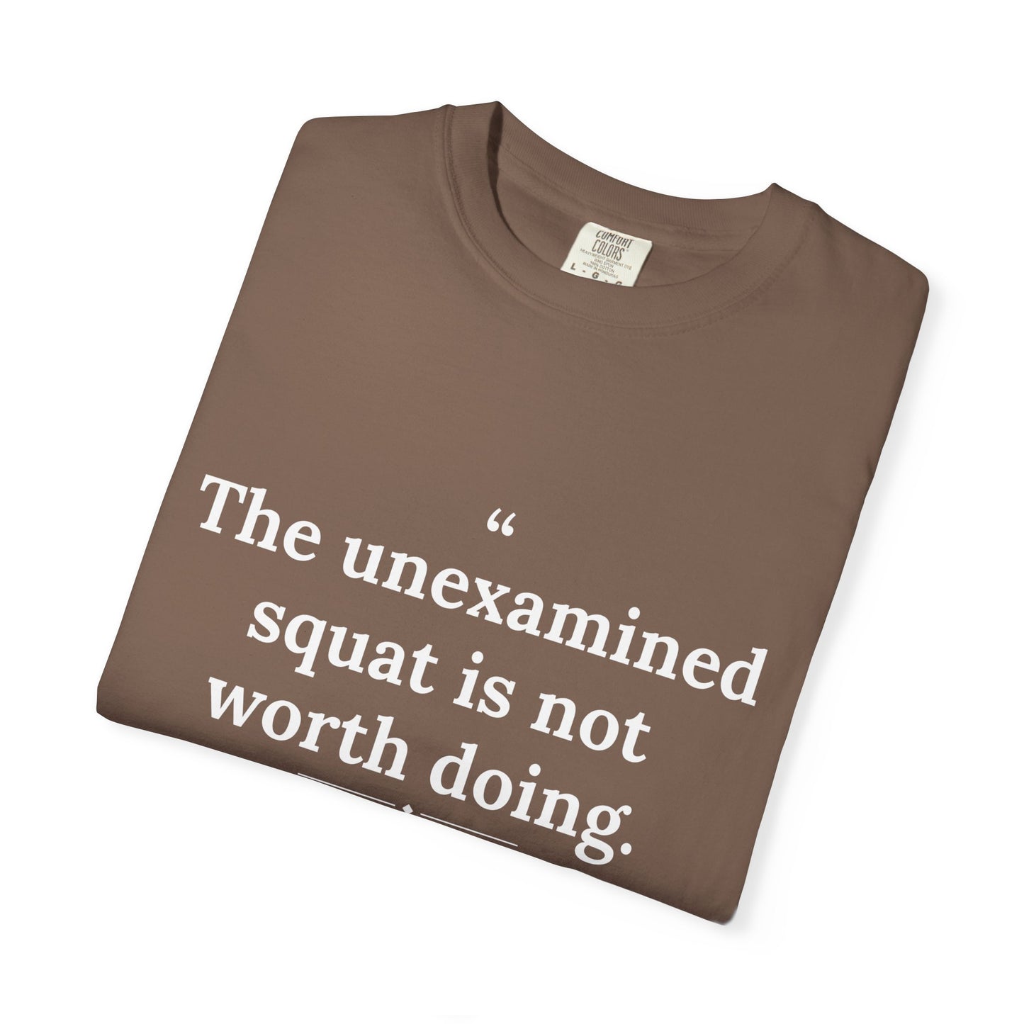 Assticles - The Unexamined Squat men's tee - funny gym shirt by DoD Fitness