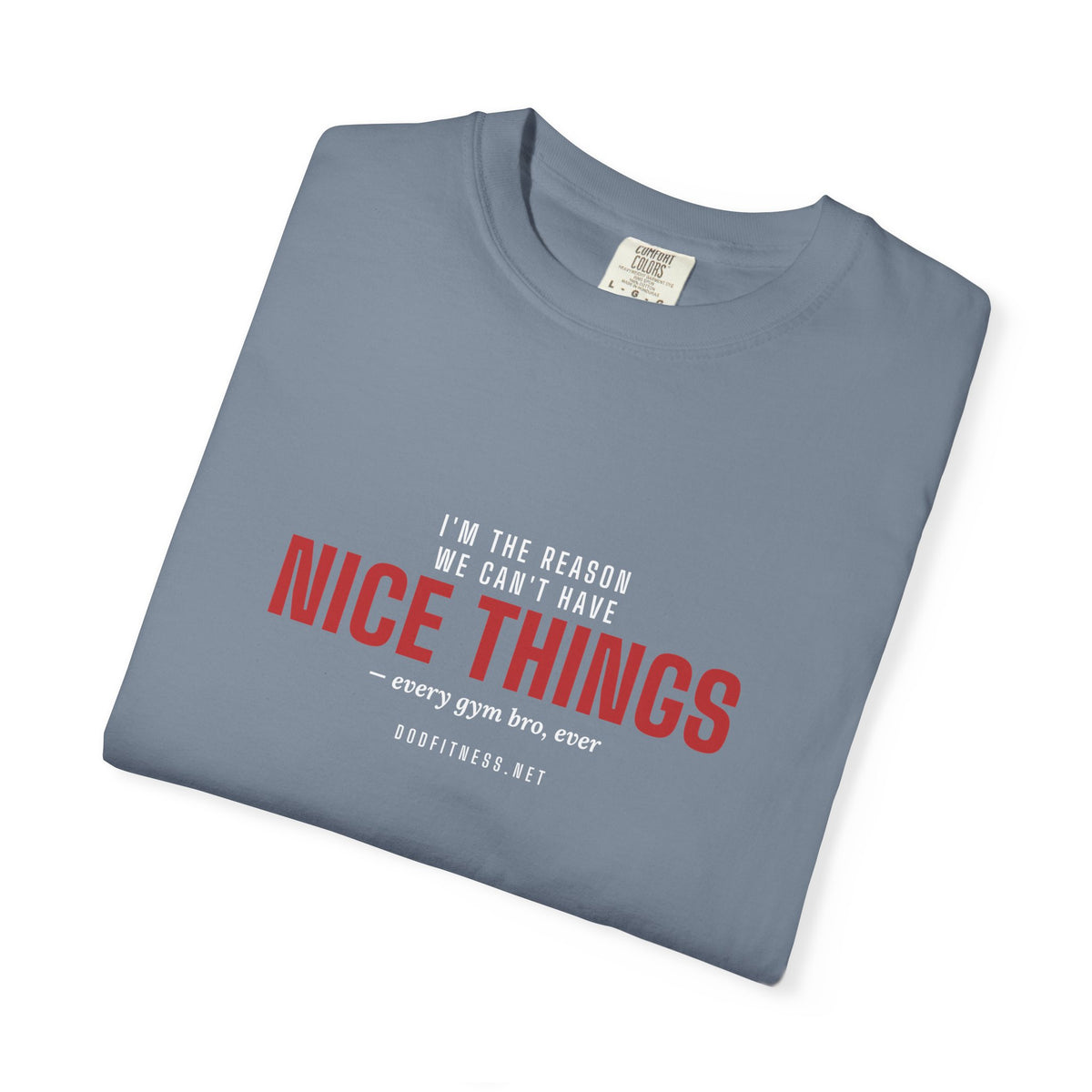 DoD Fitness - Nice Things Men's Tee