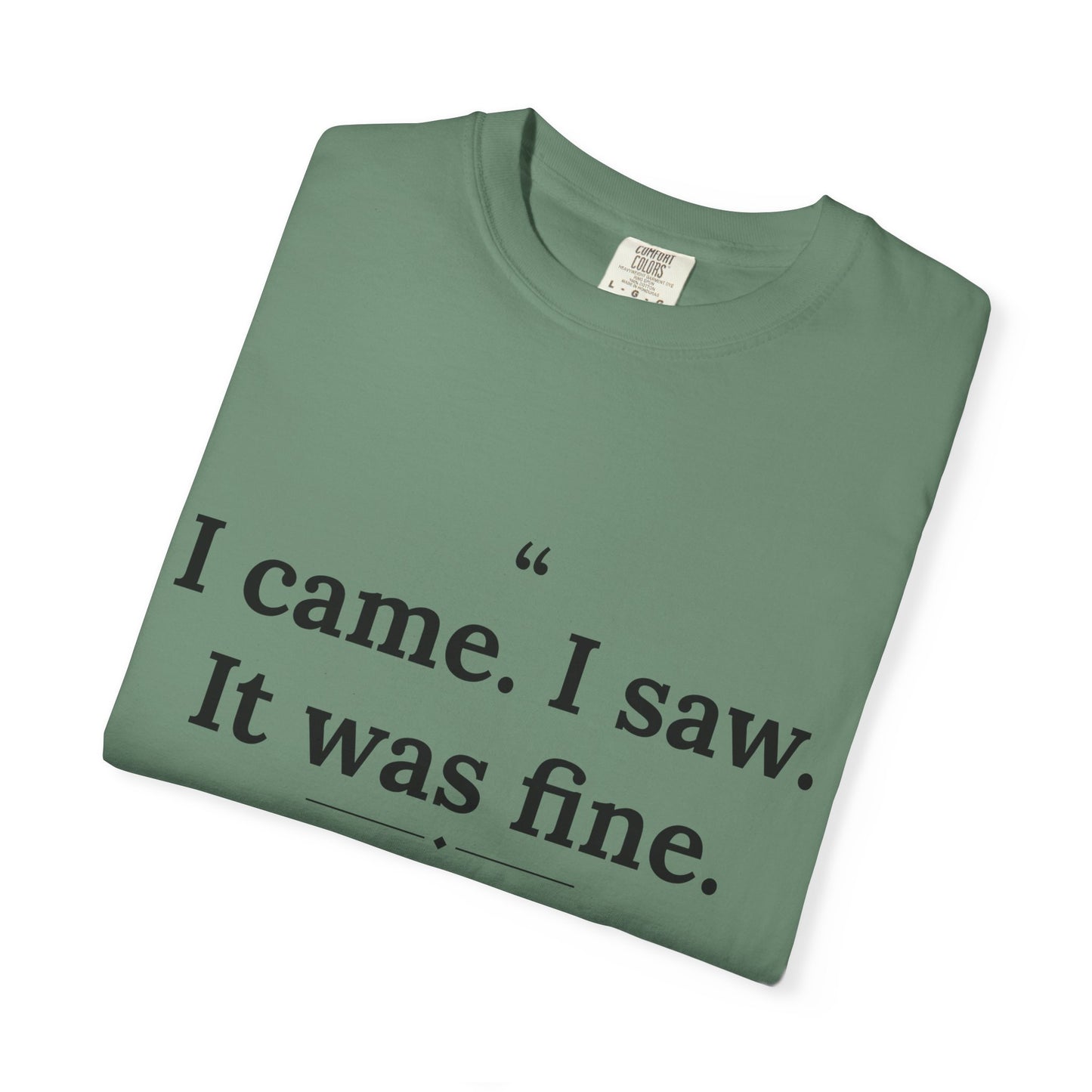 Mediocrates - I Came I Saw It Was Fine men's tee - funny gym shirt by DoD Fitness