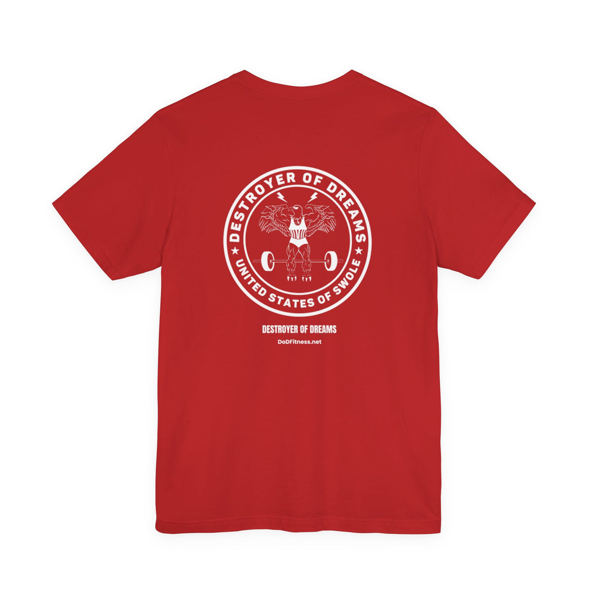Big Weights men's tee - funny gym shirt by DoD Fitness