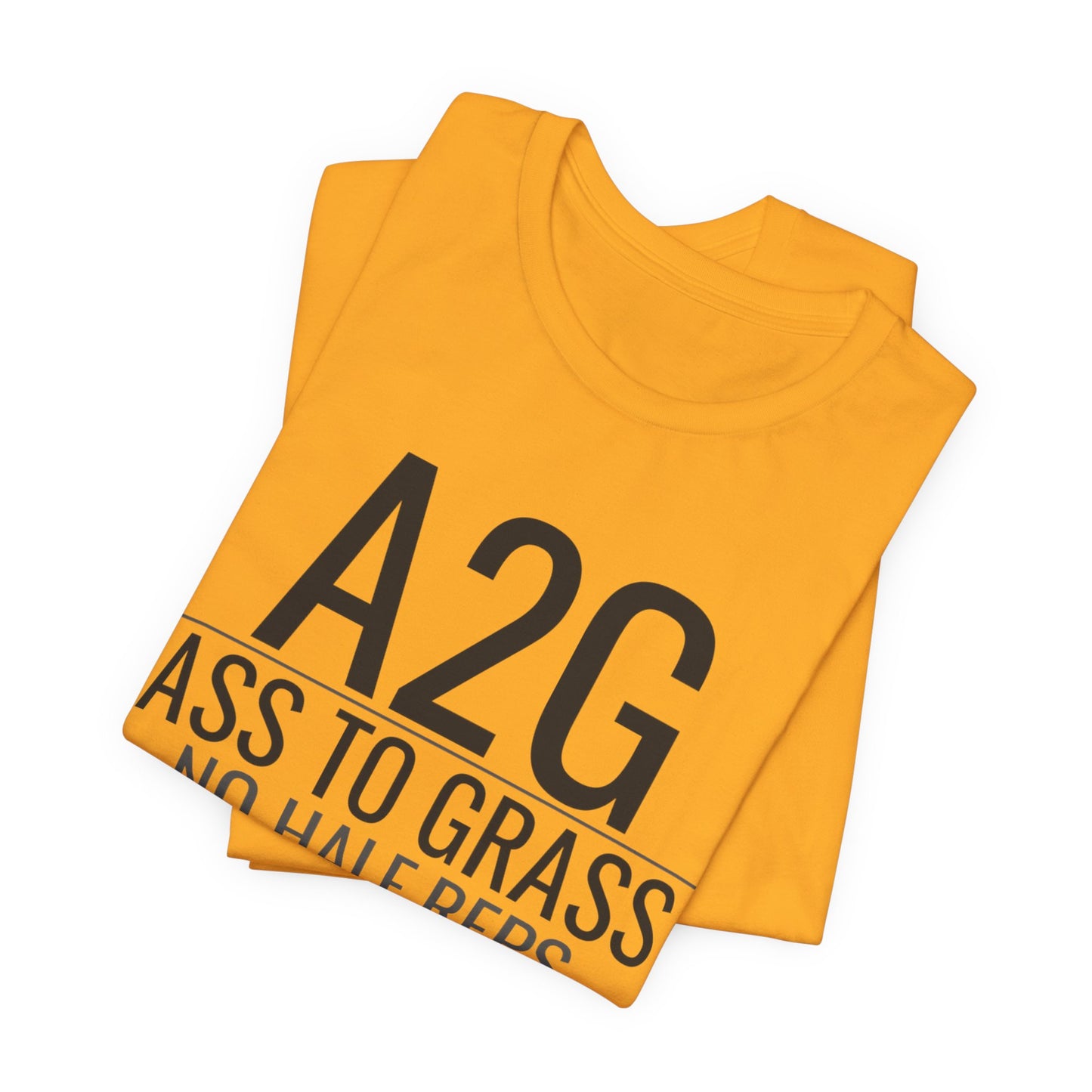 DoD Fitness - A2G - No Half Reps Men's Tee