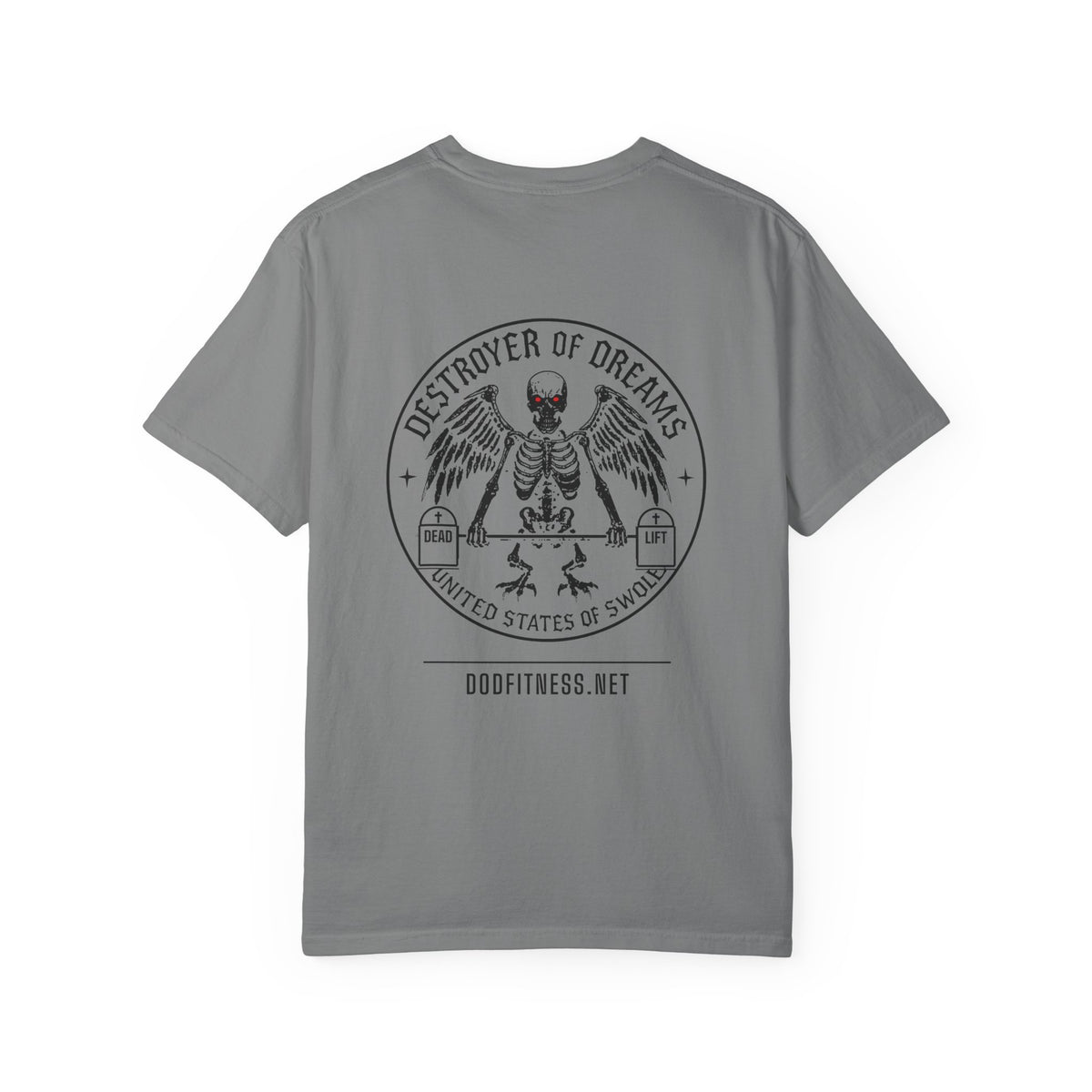 DoD Fitness - PR or ER Men's Tee