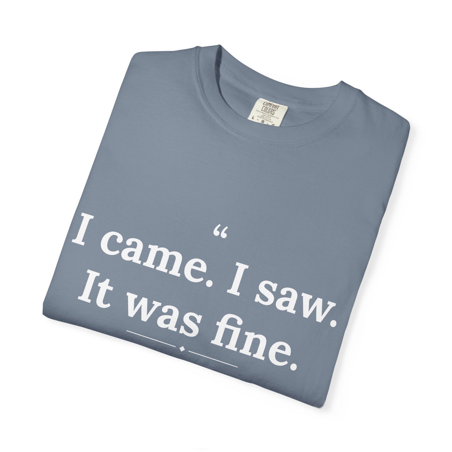Mediocrates - I Came I Saw It Was Fine men's tee - funny gym shirt by DoD Fitness