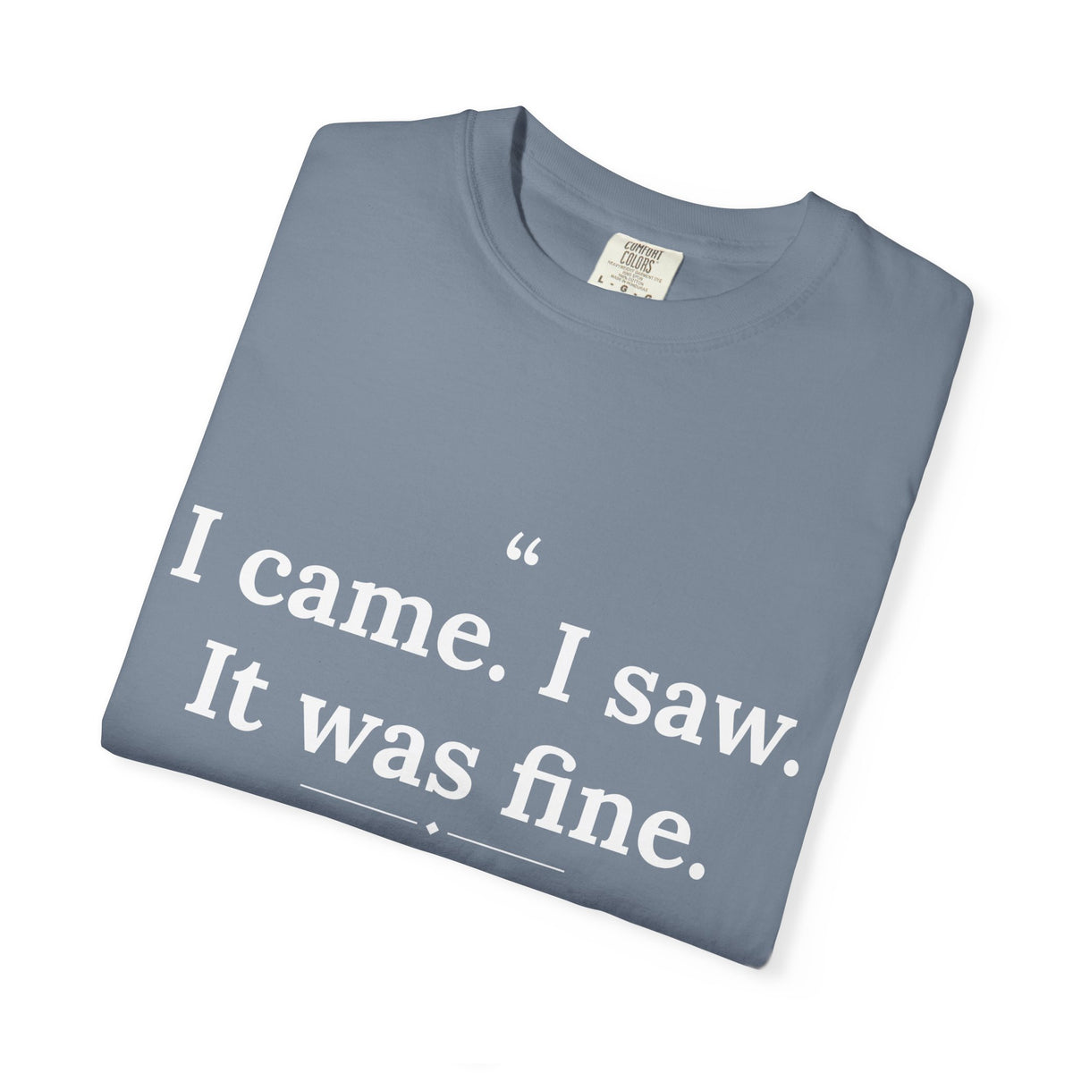 Mediocrates - I Came I Saw It Was Fine men's tee - funny gym shirt by DoD Fitness