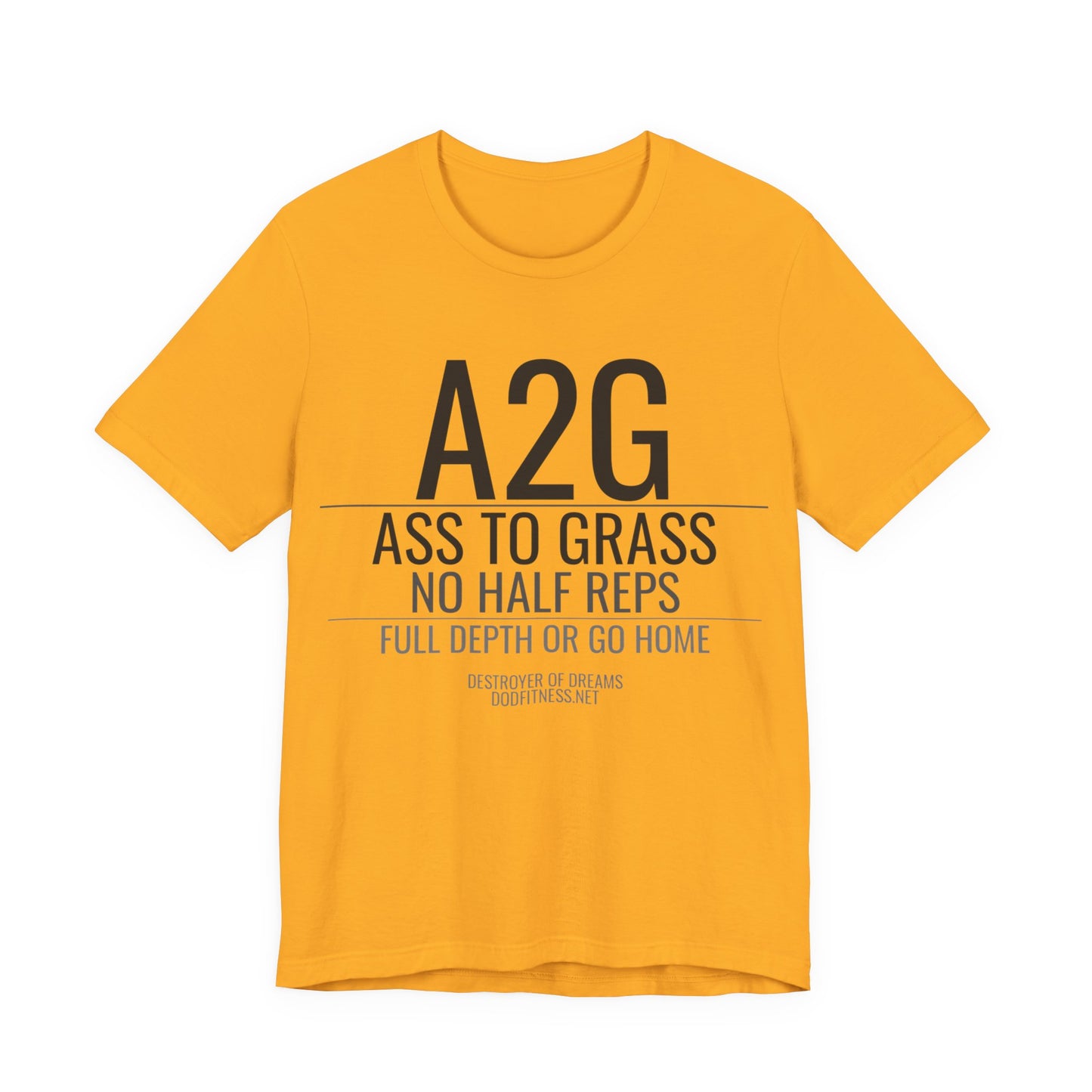 DoD Fitness - A2G - No Half Reps Men's Tee