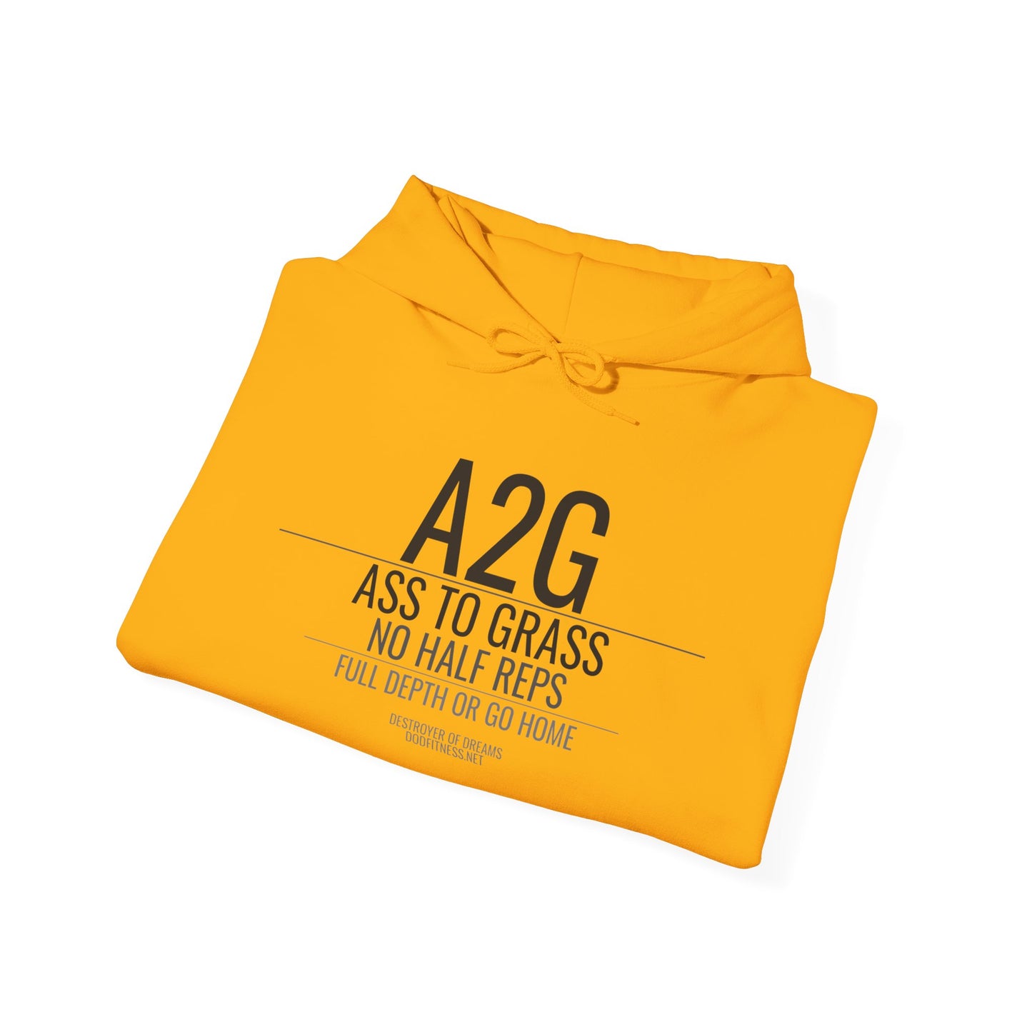 DoD Fitness - A2G - No Half Reps Hoodie