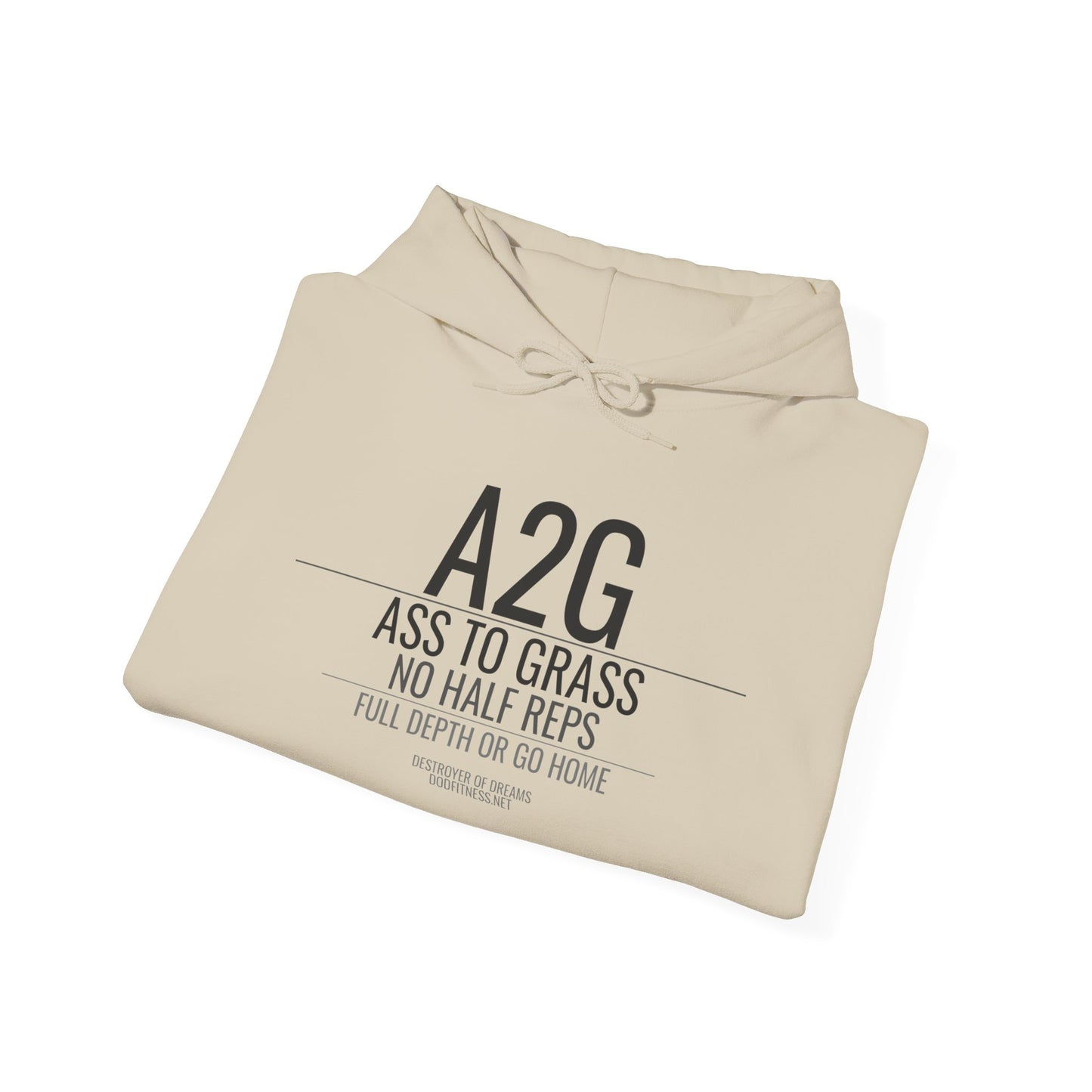 DoD Fitness - A2G - No Half Reps Hoodie